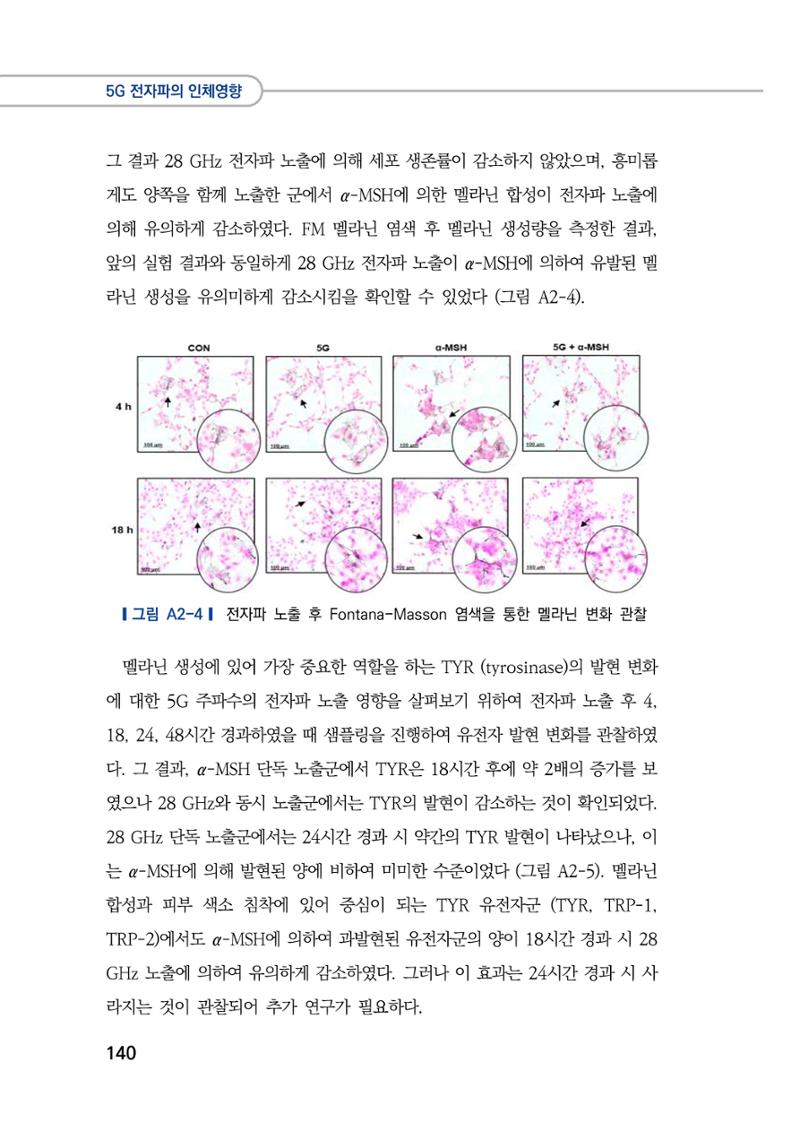 5G 인체영향  148페이지