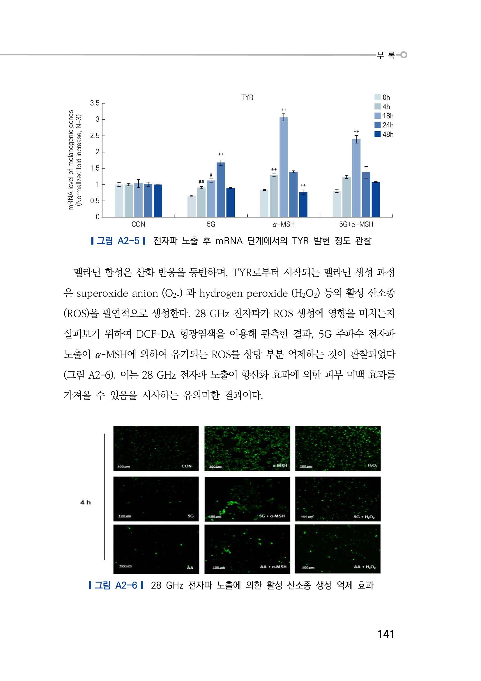 5G 인체영향  149페이지
