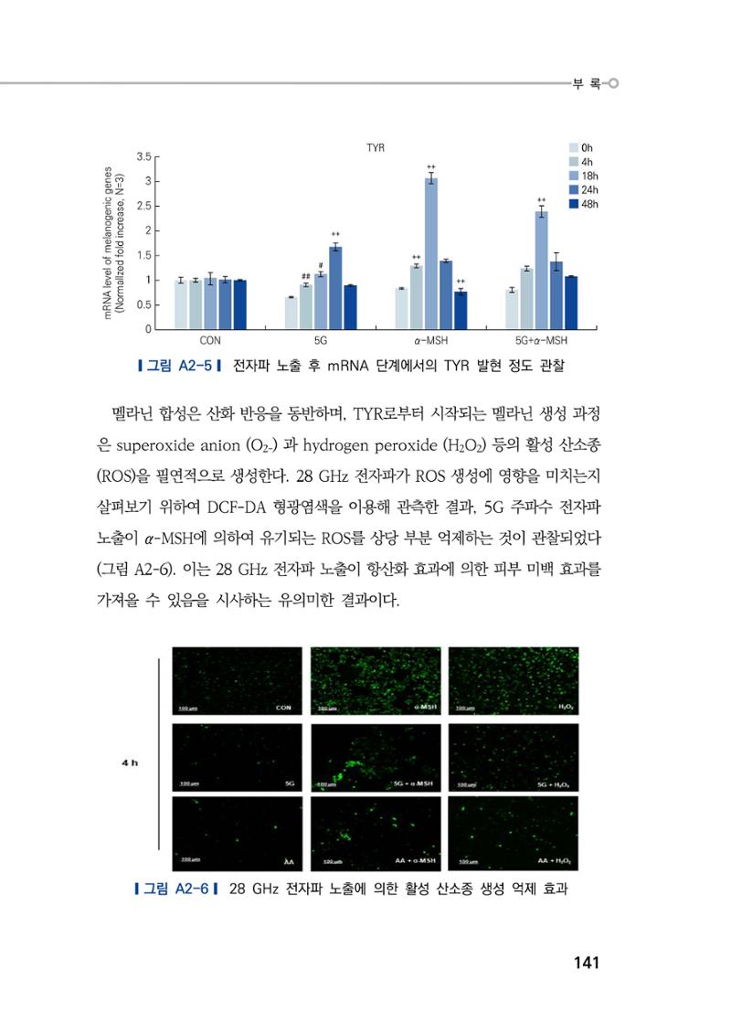 5G 인체영향  149페이지