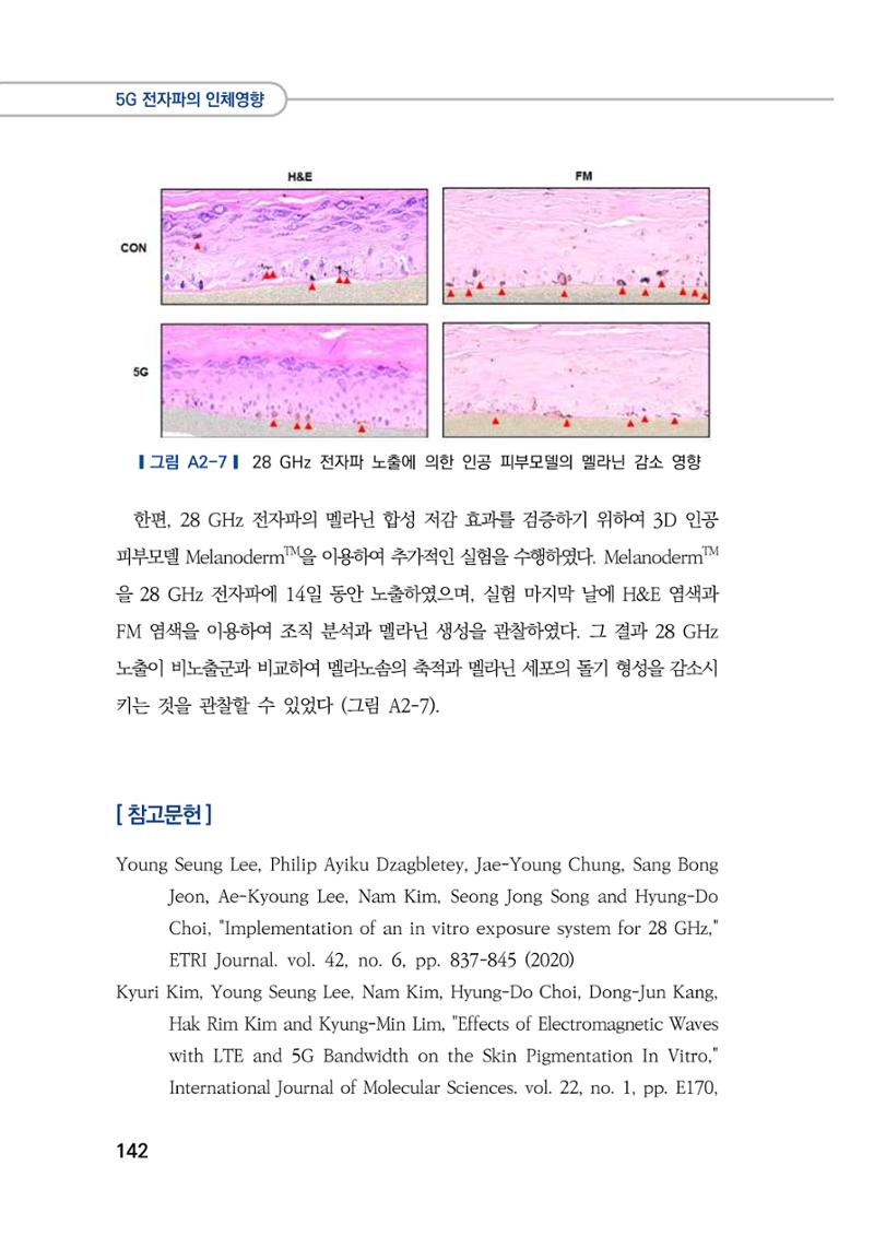 5G 인체영향  150페이지