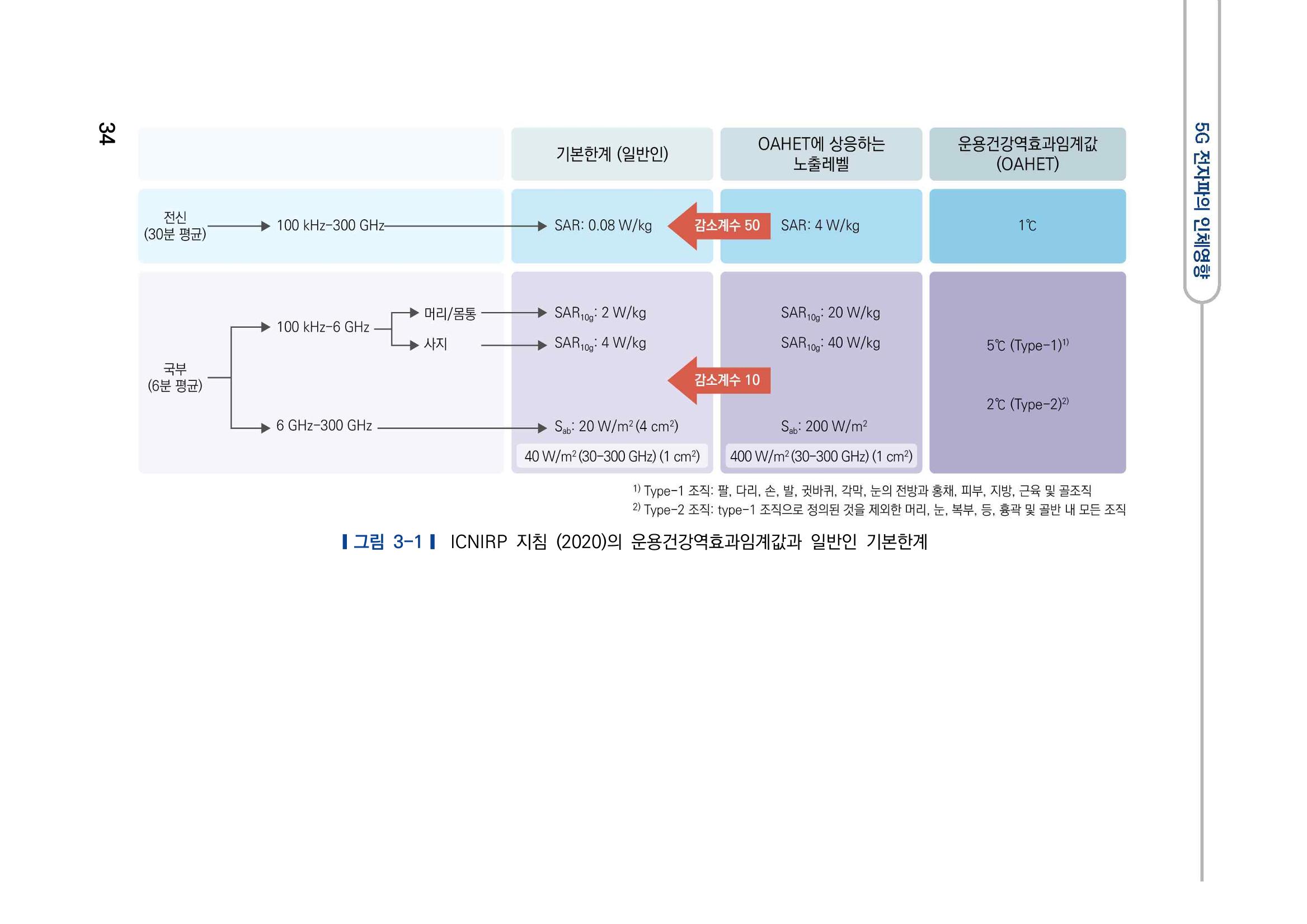 5G 인체영향  42페이지