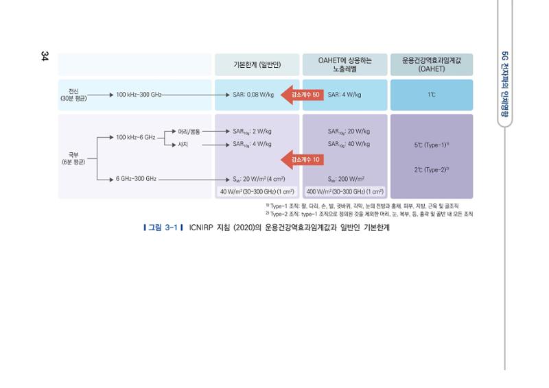 5G 인체영향  42페이지