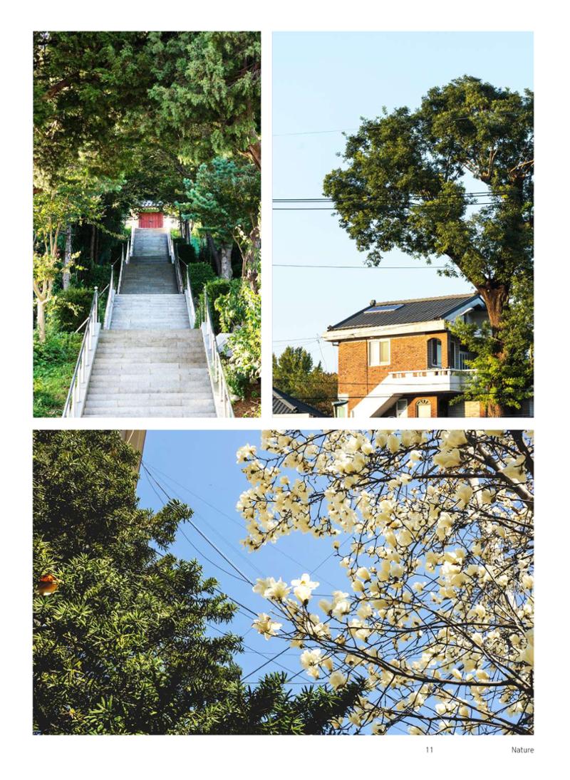 삼척시 도시재생 매거진 성내 12페이지