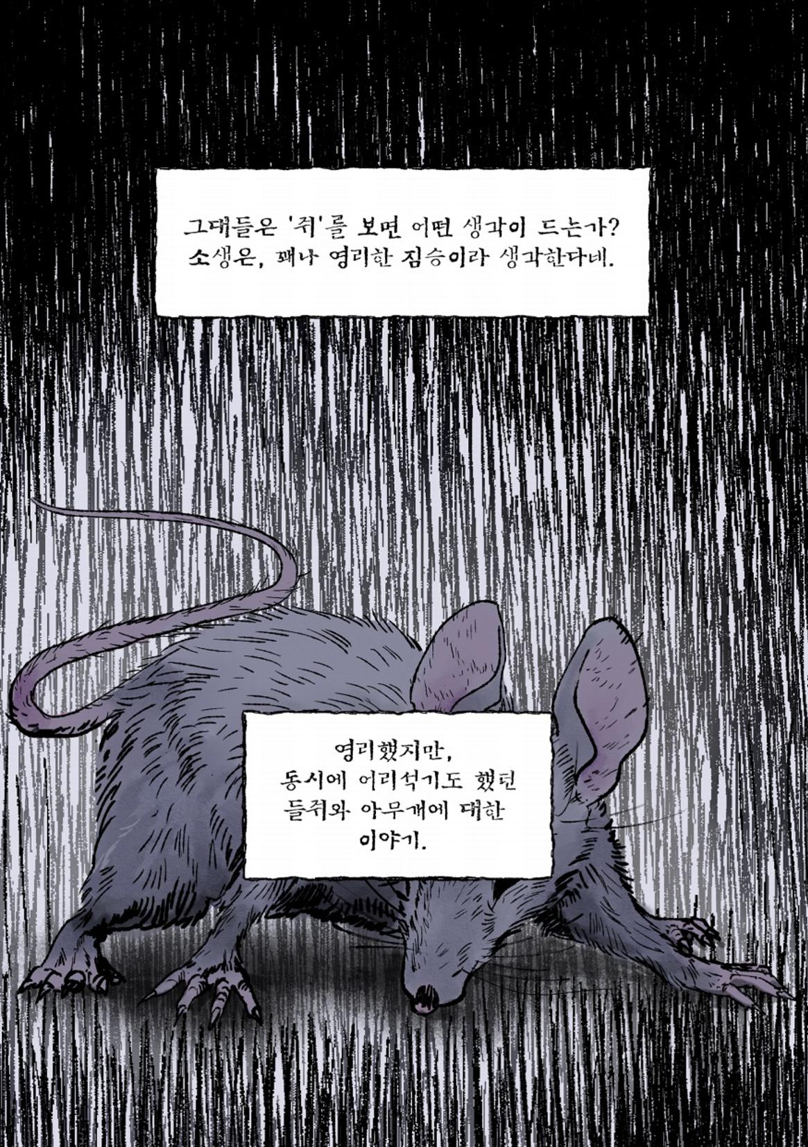 둔갑 4페이지
