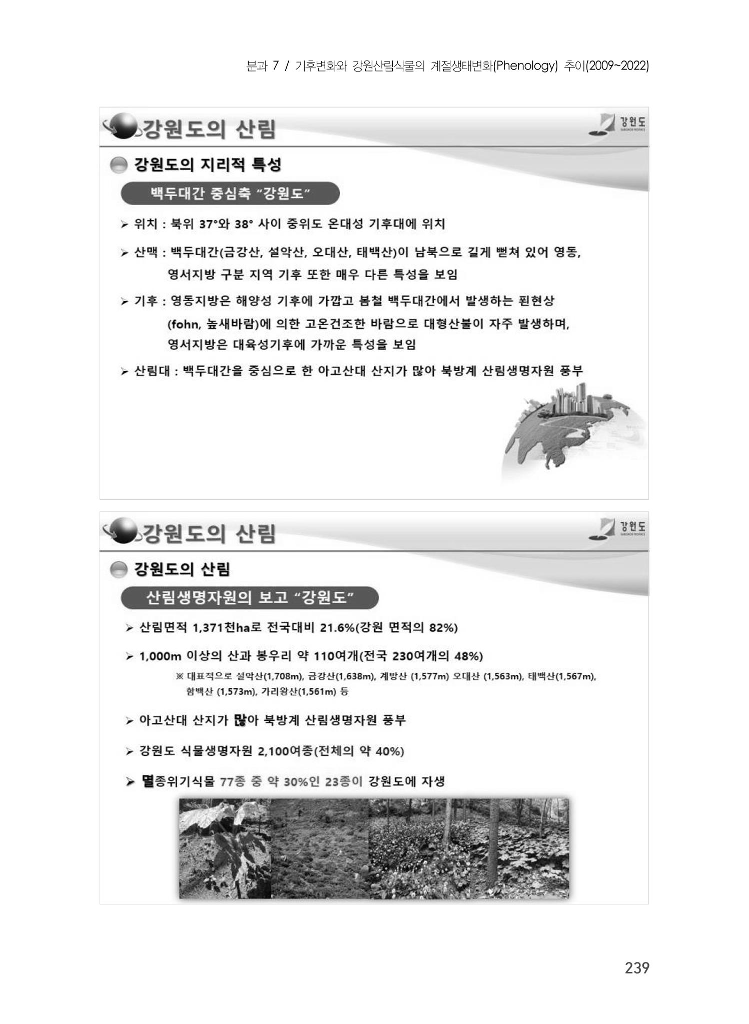 제5회 강원학대회 7분과 43페이지