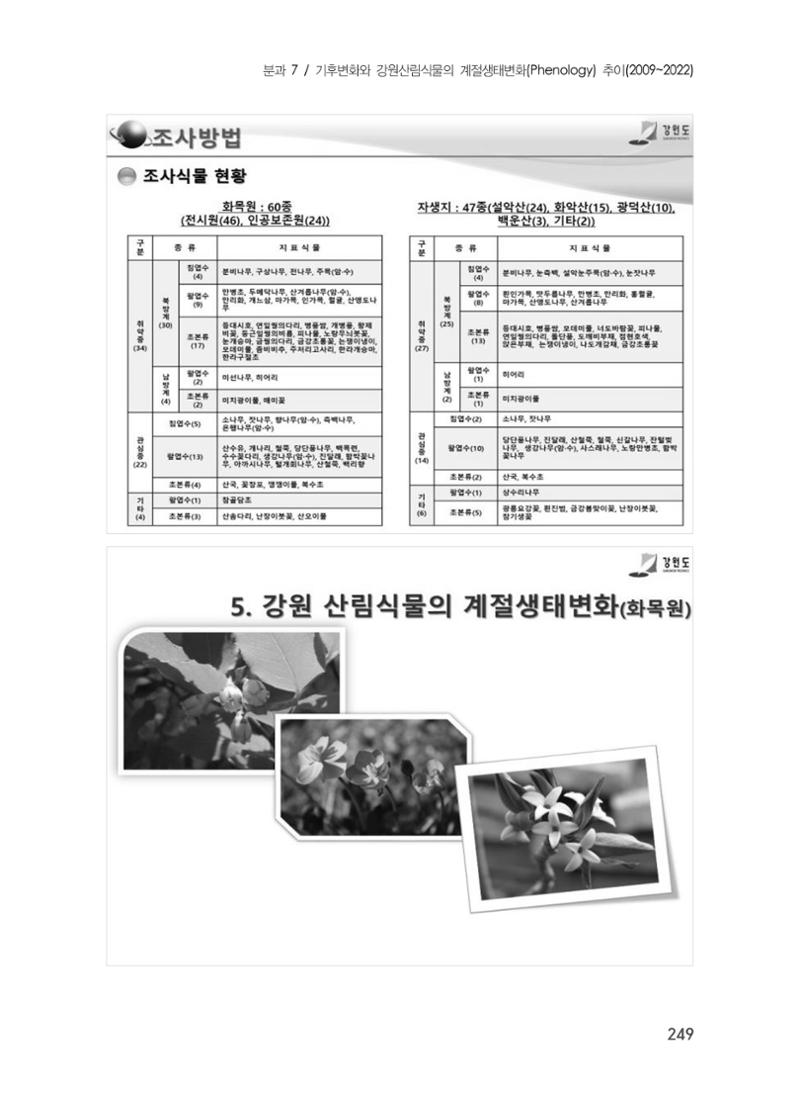 제5회 강원학대회 7분과 53페이지