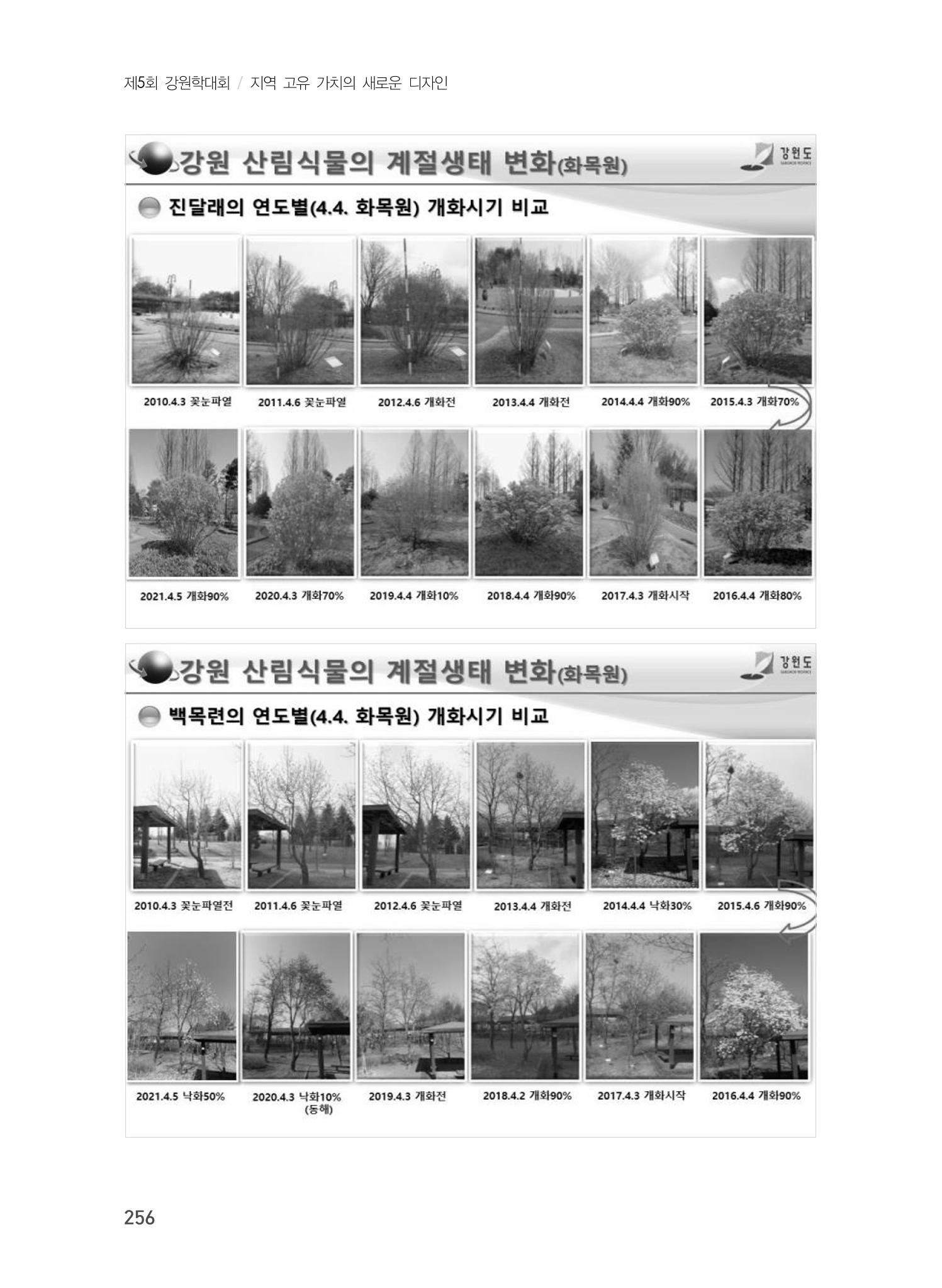 제5회 강원학대회 7분과 60페이지