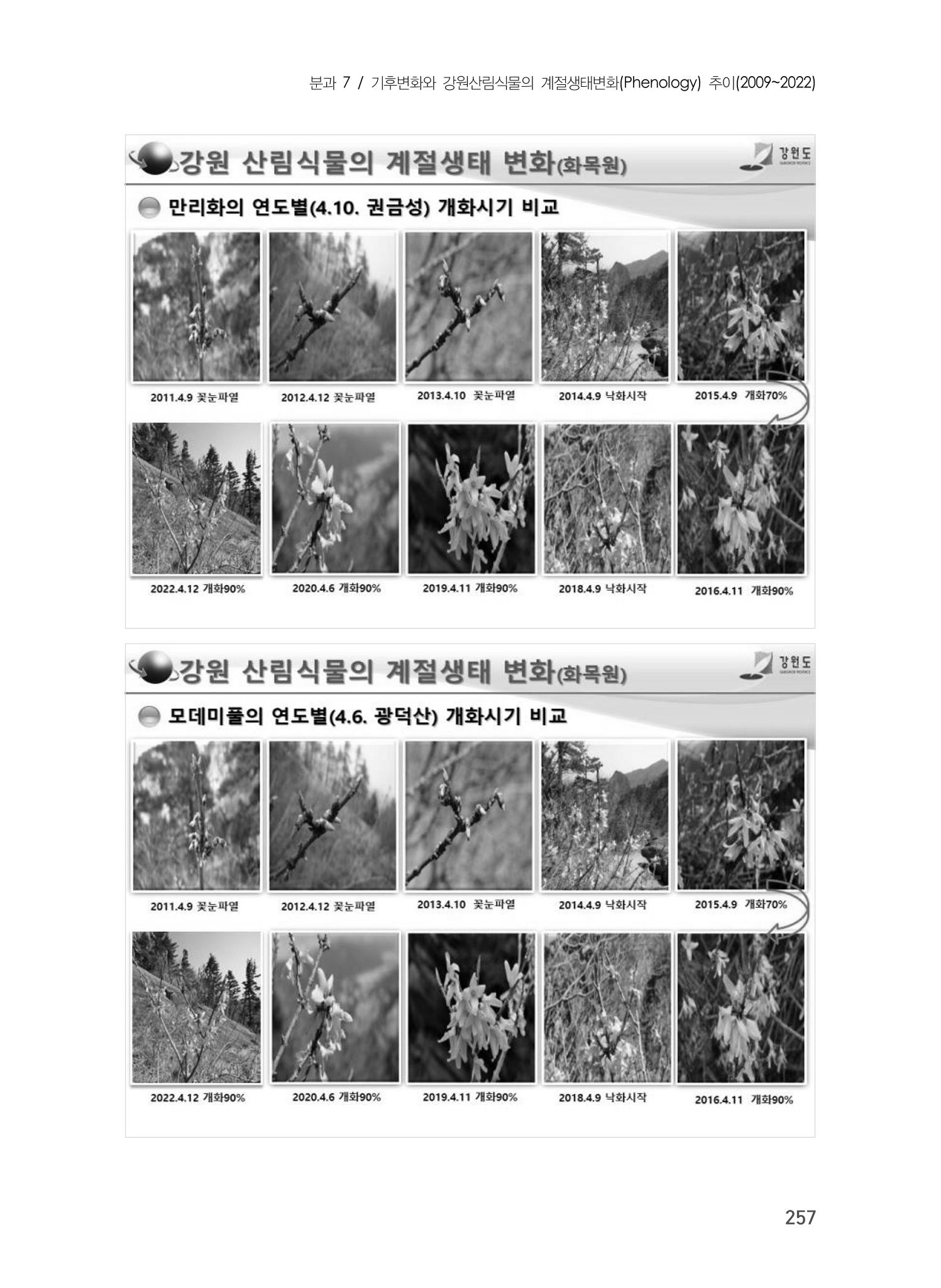 제5회 강원학대회 7분과 61페이지