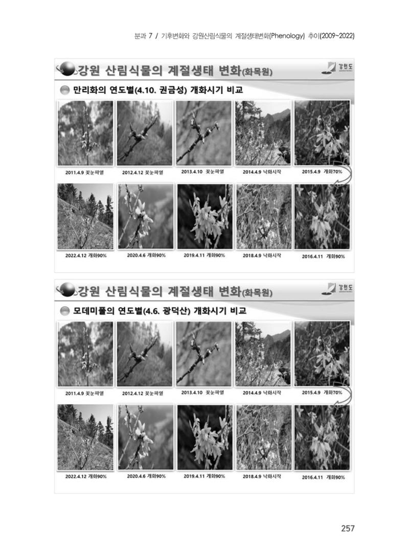 제5회 강원학대회 7분과 61페이지