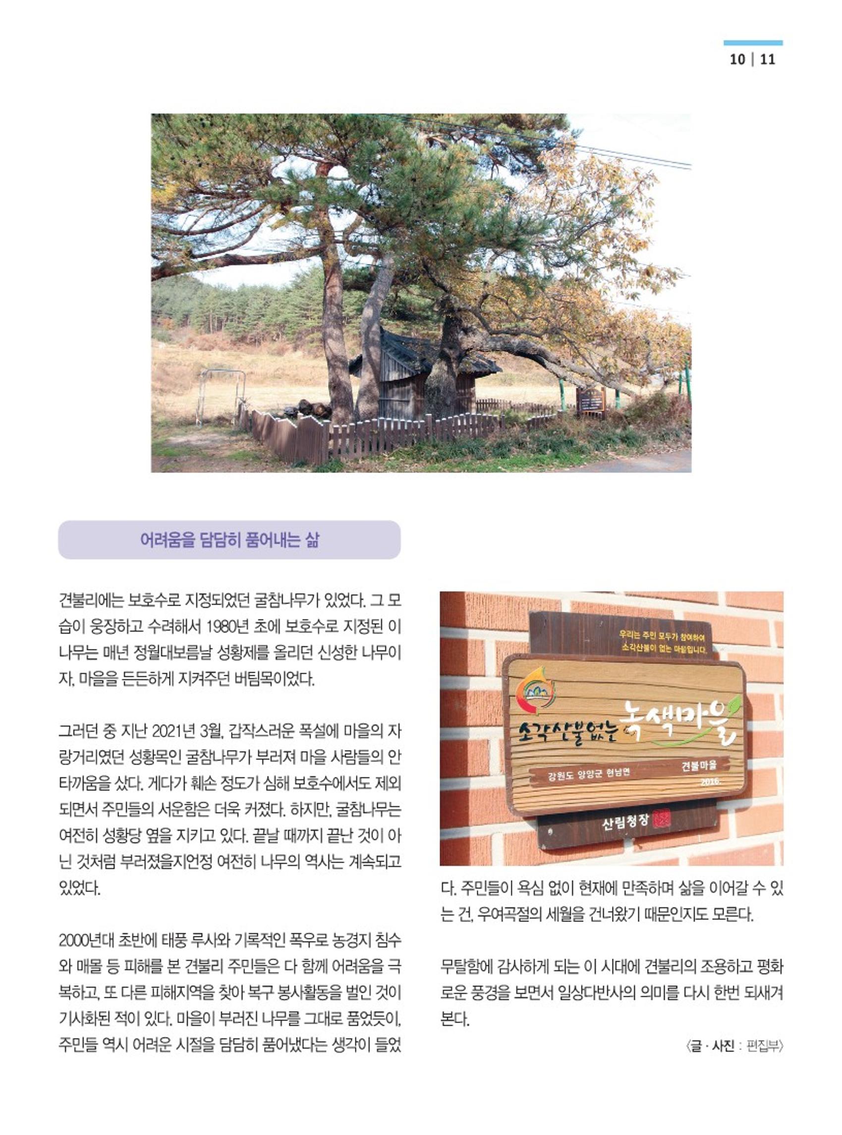 양양소식지 2022.12월호 11페이지