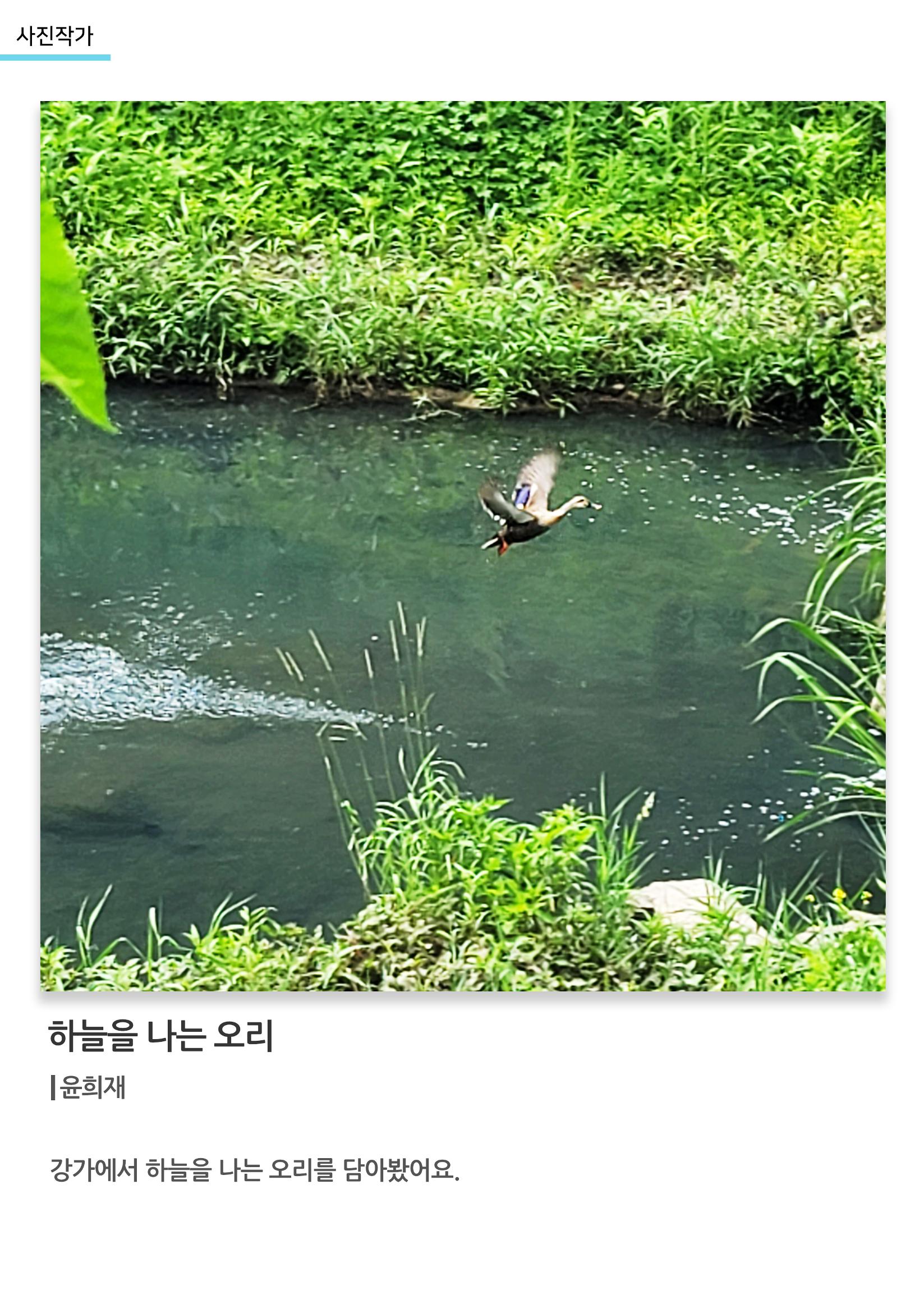 아르떼아카데미_하늘을 나는 오리 1페이지