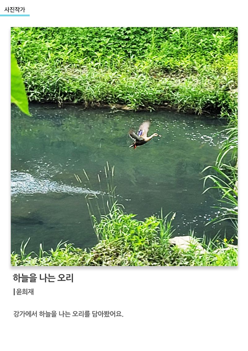 아르떼아카데미_하늘을 나는 오리 1페이지