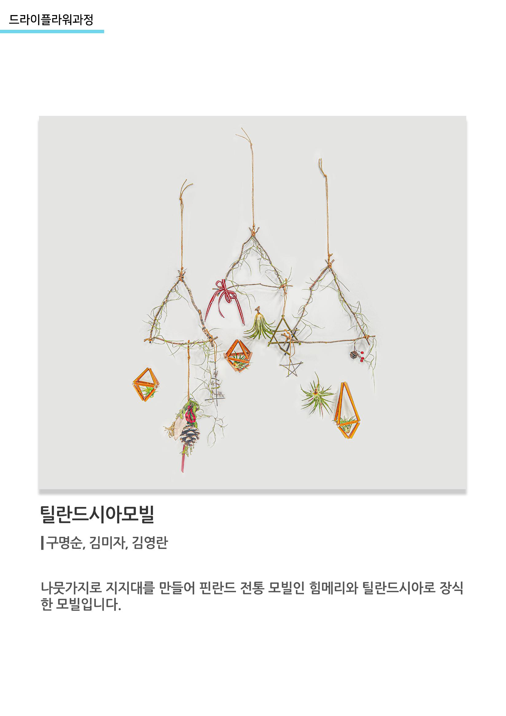 고양평생대학_틸란드시아모빌 1페이지