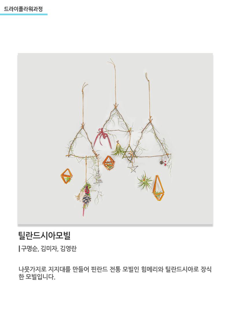 고양평생대학_틸란드시아모빌 1페이지