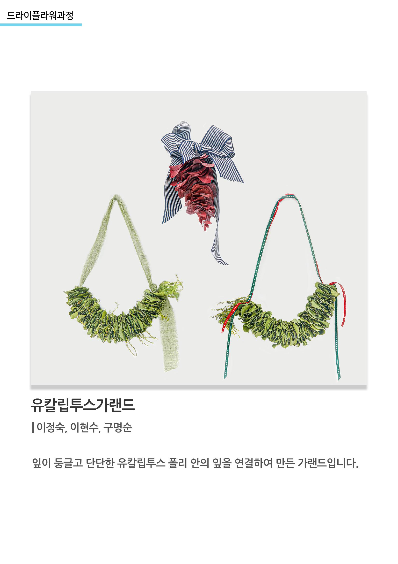고양평생대학_유칼립투스가랜드 1페이지