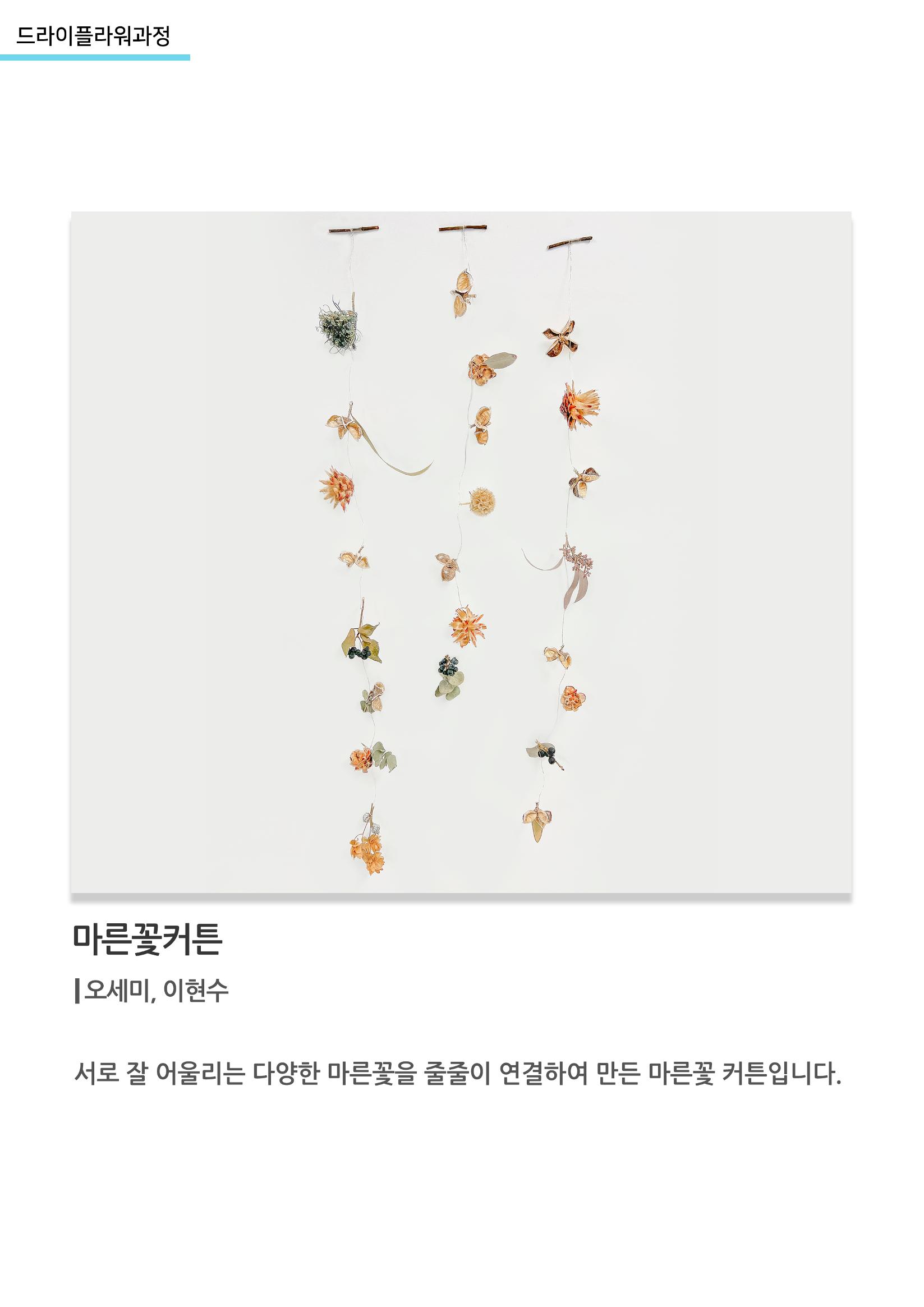 고양평생대학_마른꽃커튼 1페이지