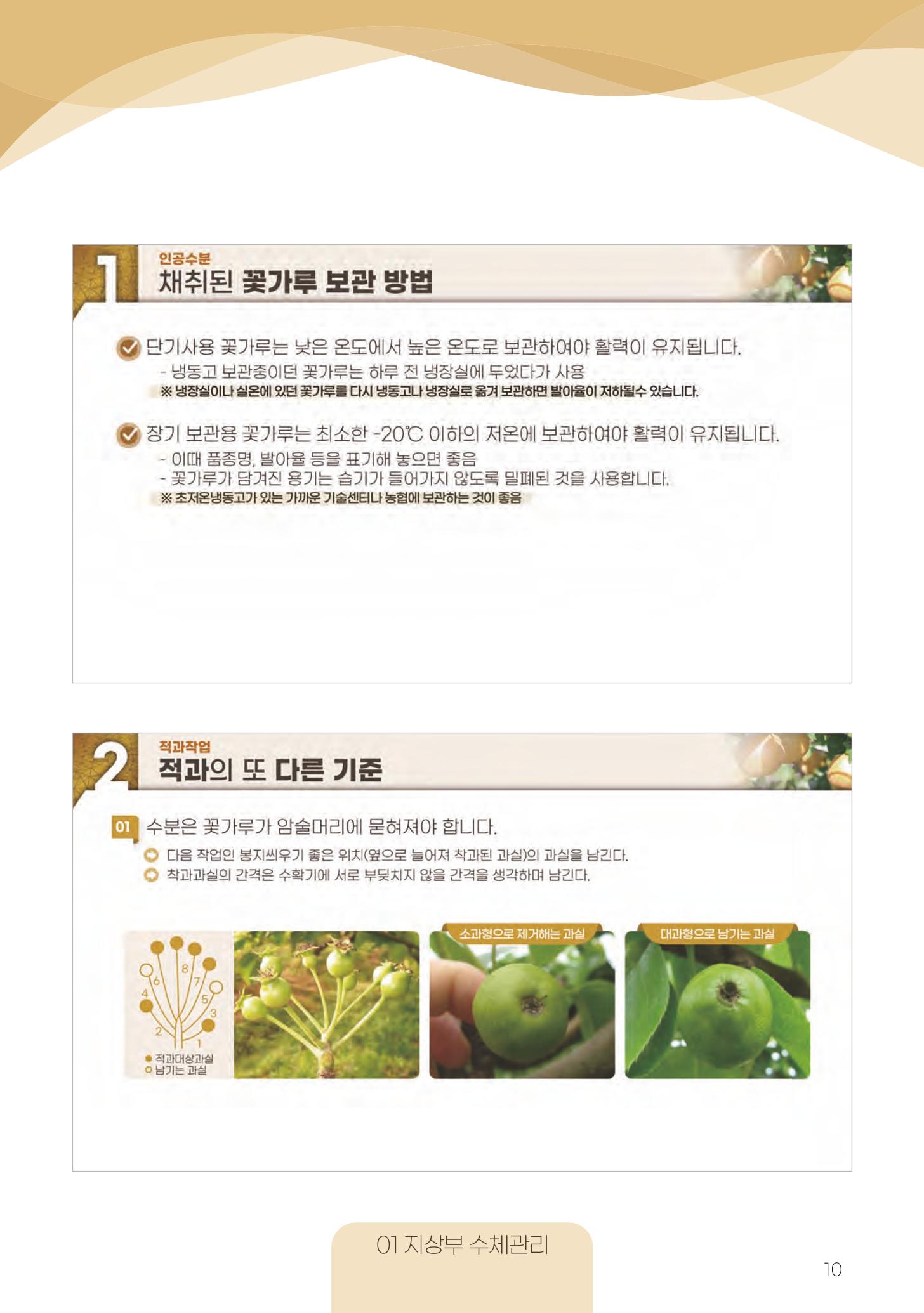 고품질 배 생산 및 수출 교육[2022] 10페이지