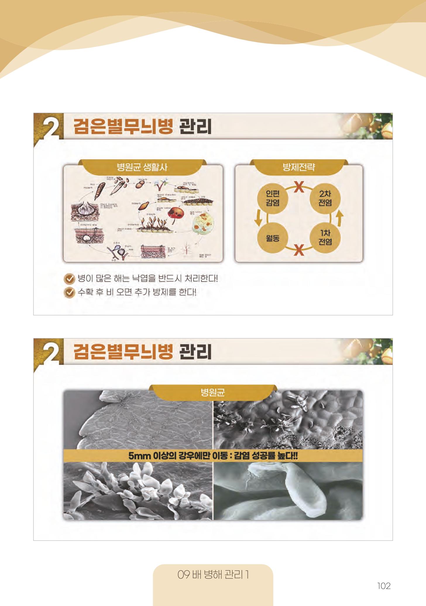 고품질 배 생산 및 수출 교육[2022] 102페이지