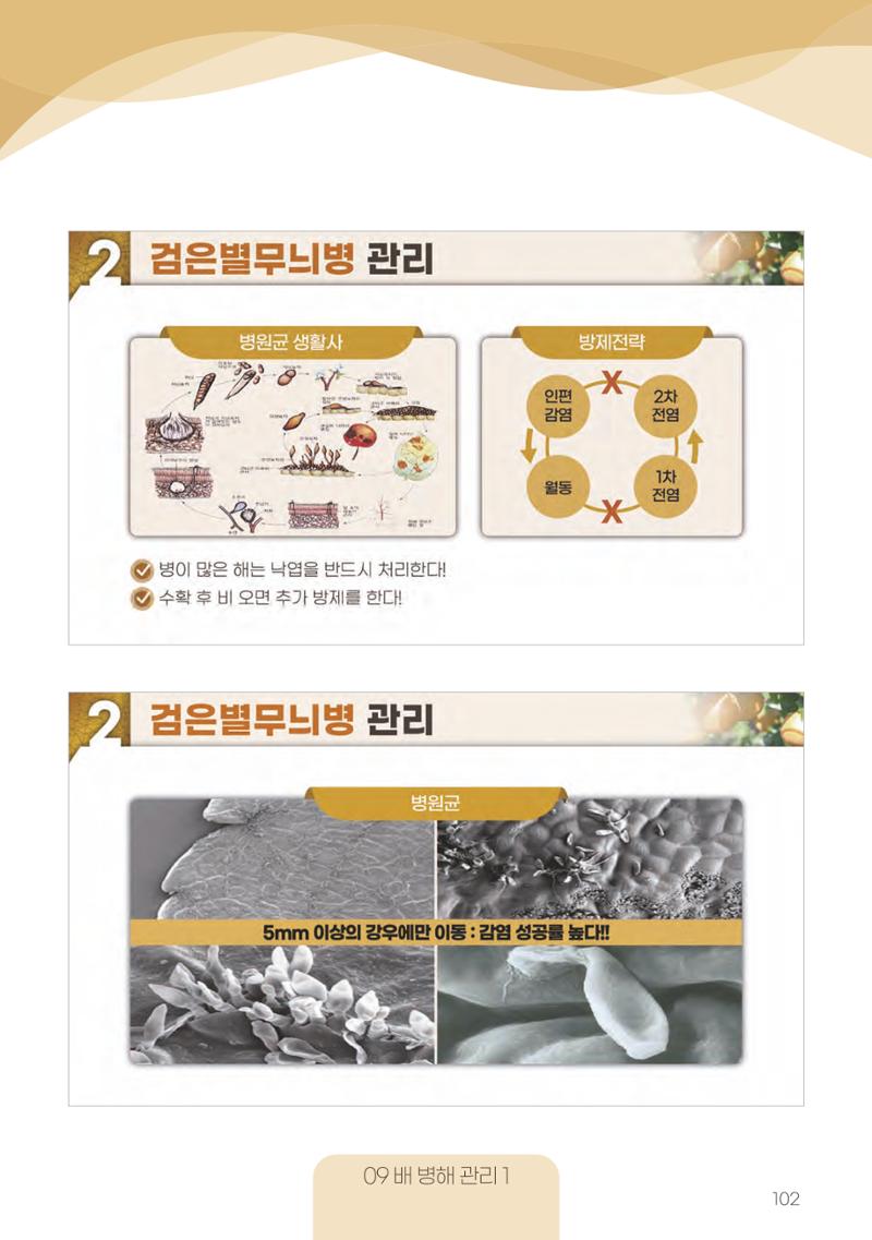 고품질 배 생산 및 수출 교육[2022] 102페이지