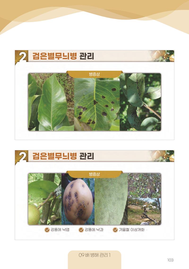 고품질 배 생산 및 수출 교육[2022] 103페이지