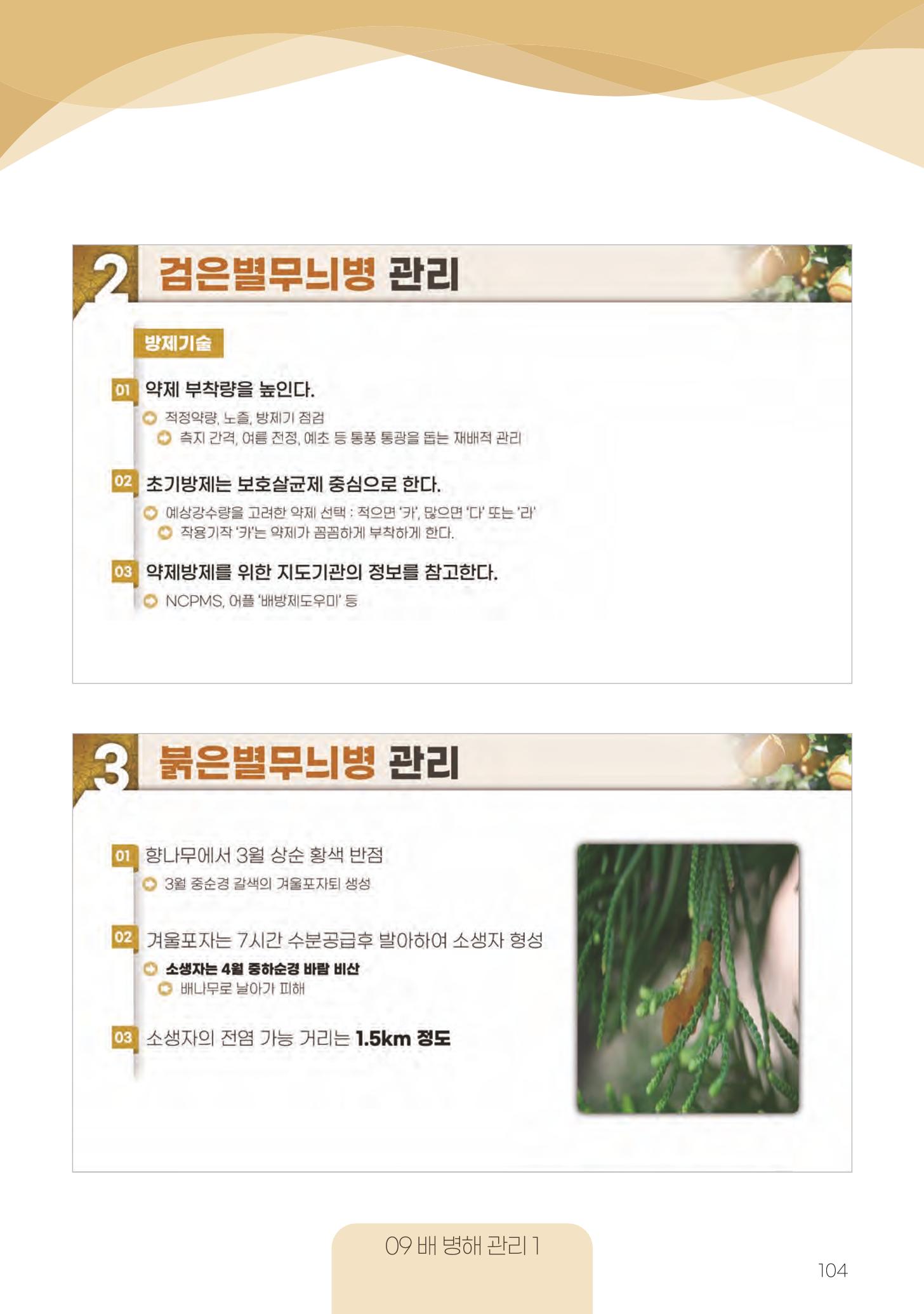 고품질 배 생산 및 수출 교육[2022] 104페이지