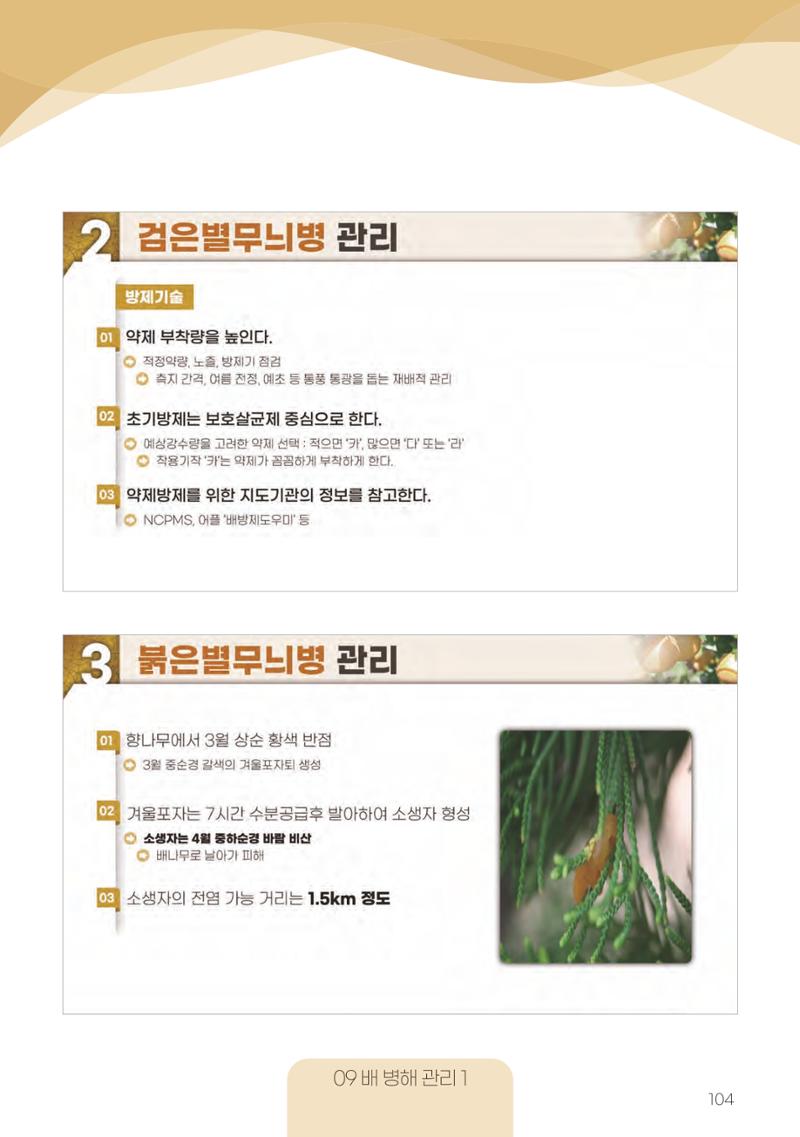 고품질 배 생산 및 수출 교육[2022] 104페이지