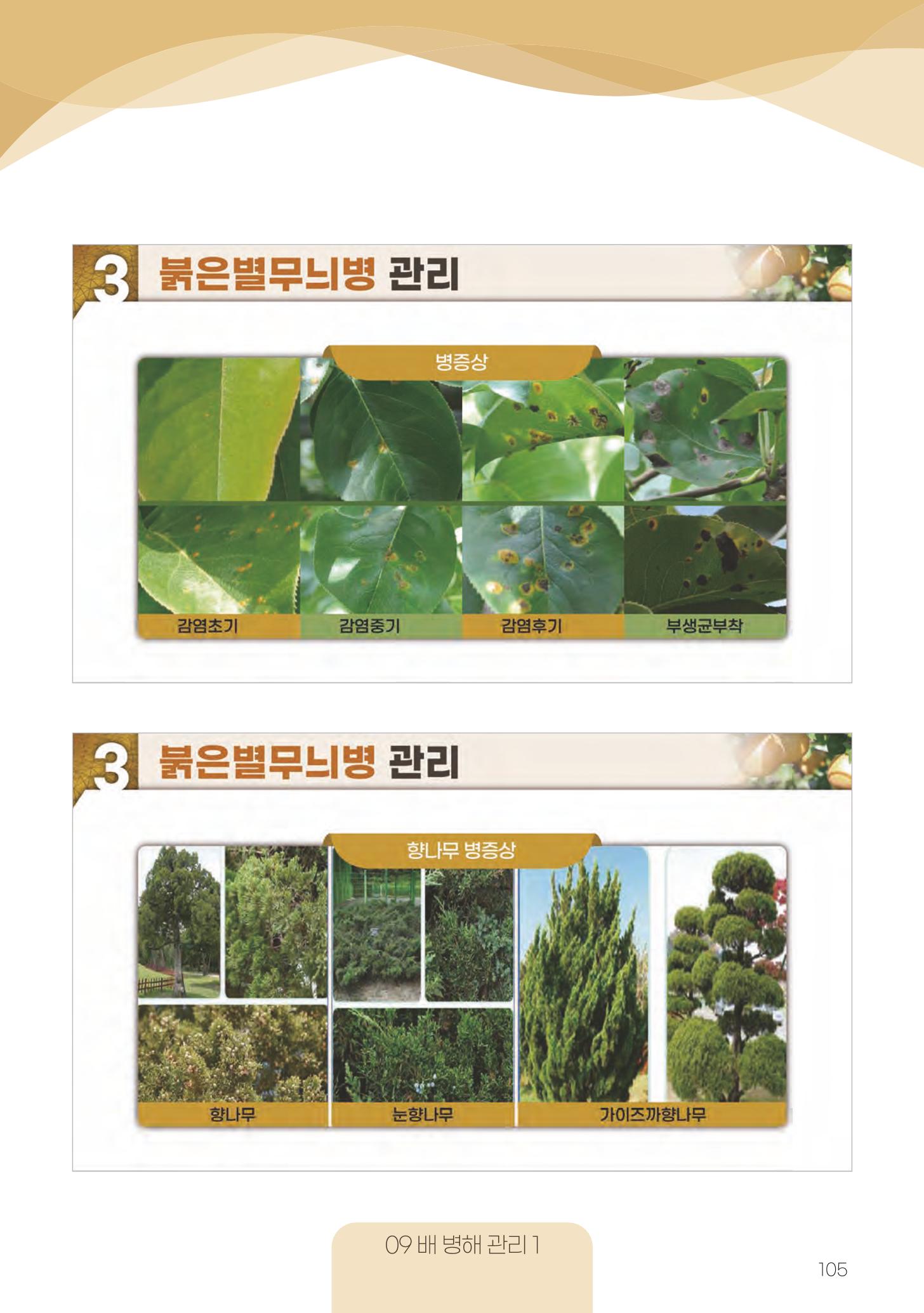 고품질 배 생산 및 수출 교육[2022] 105페이지