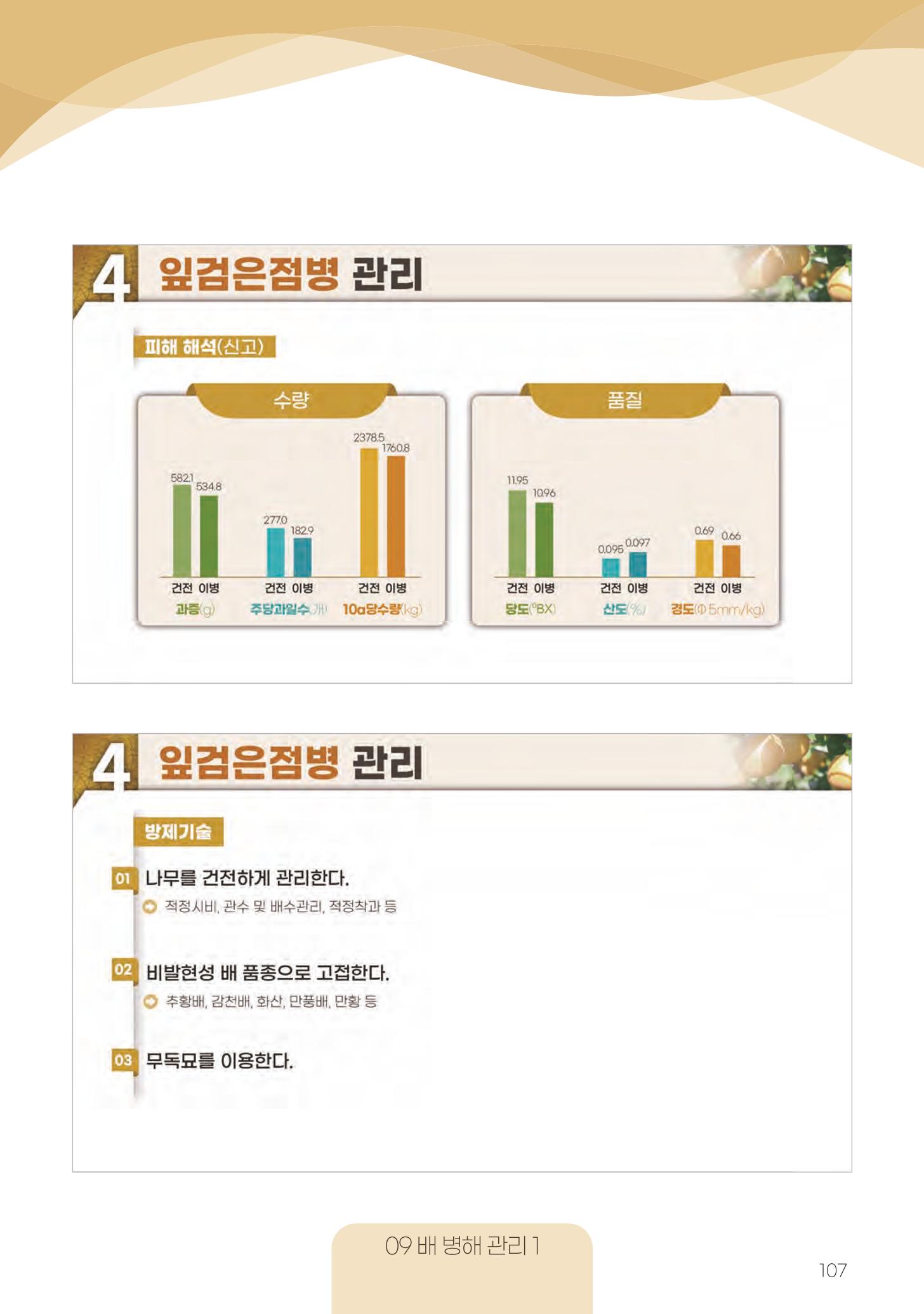 고품질 배 생산 및 수출 교육[2022] 107페이지