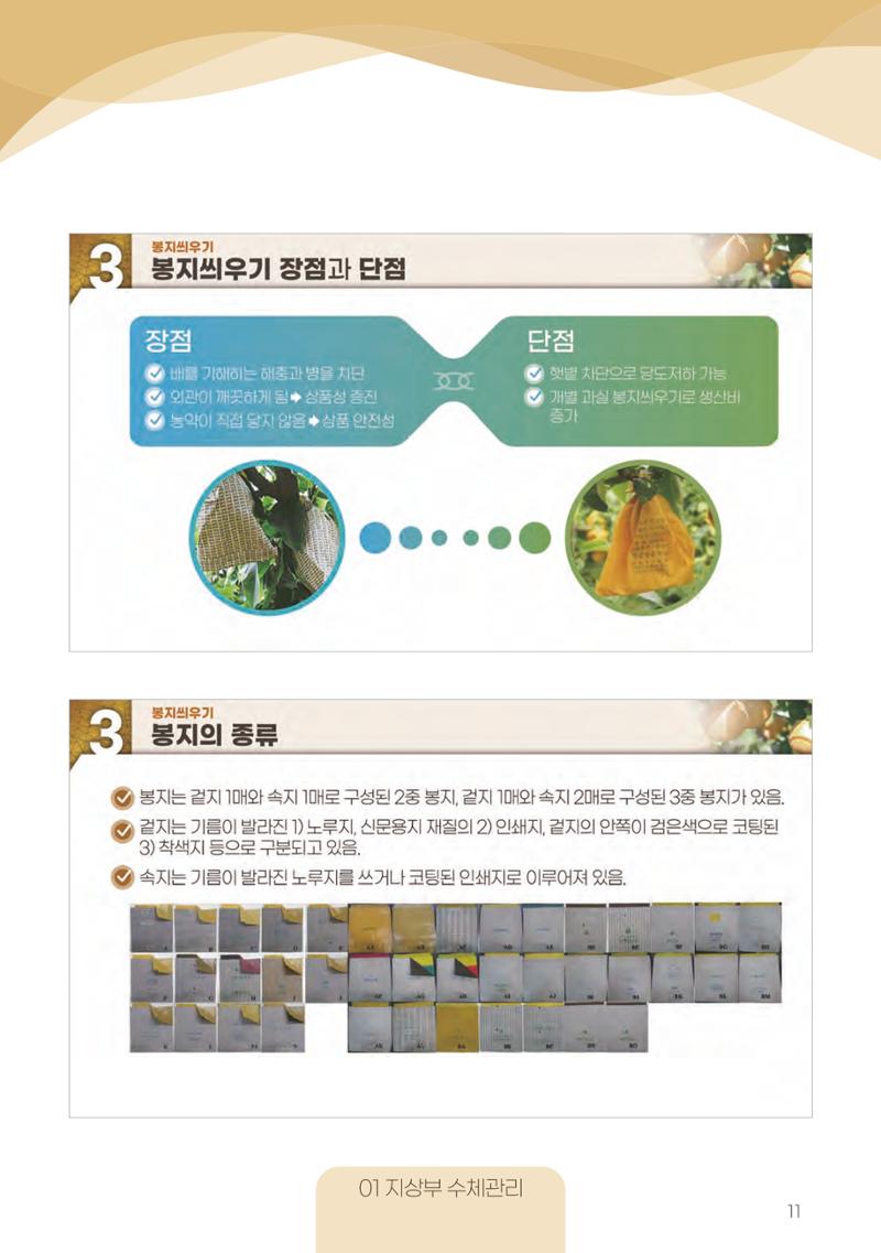 고품질 배 생산 및 수출 교육[2022] 11페이지