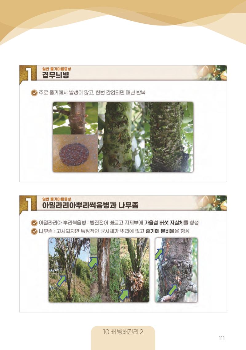 고품질 배 생산 및 수출 교육[2022] 111페이지