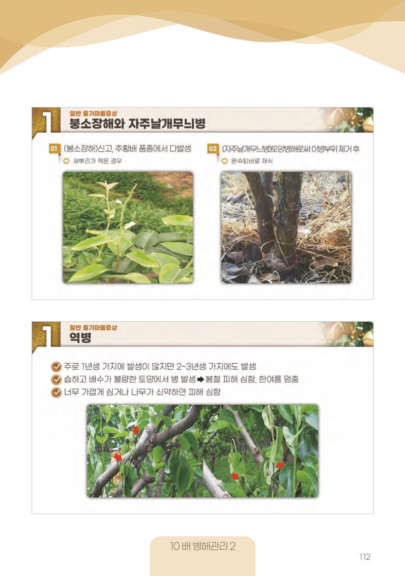 고품질 배 생산 및 수출 교육[2022] 112페이지