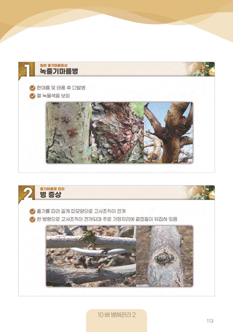 고품질 배 생산 및 수출 교육[2022] 113페이지