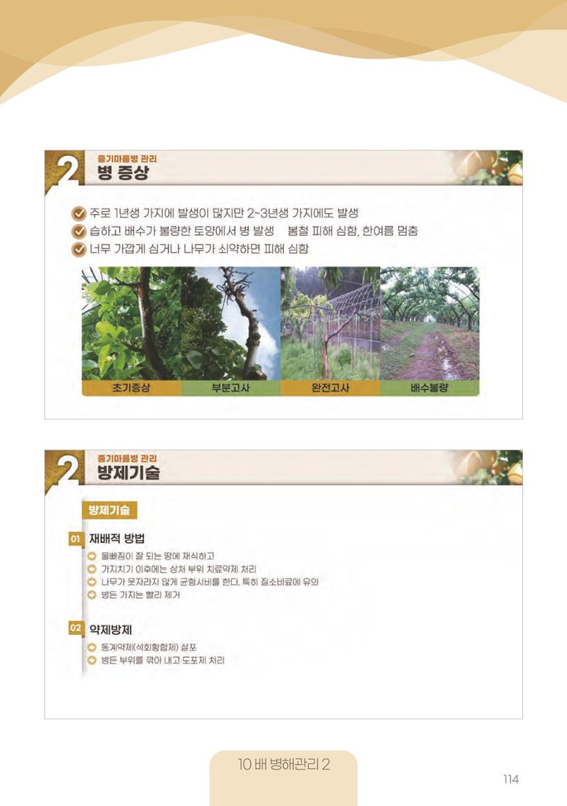 고품질 배 생산 및 수출 교육[2022] 114페이지
