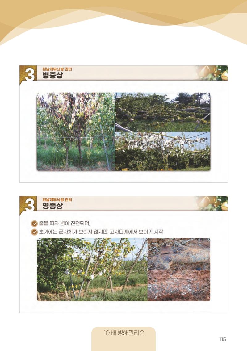 고품질 배 생산 및 수출 교육[2022] 115페이지