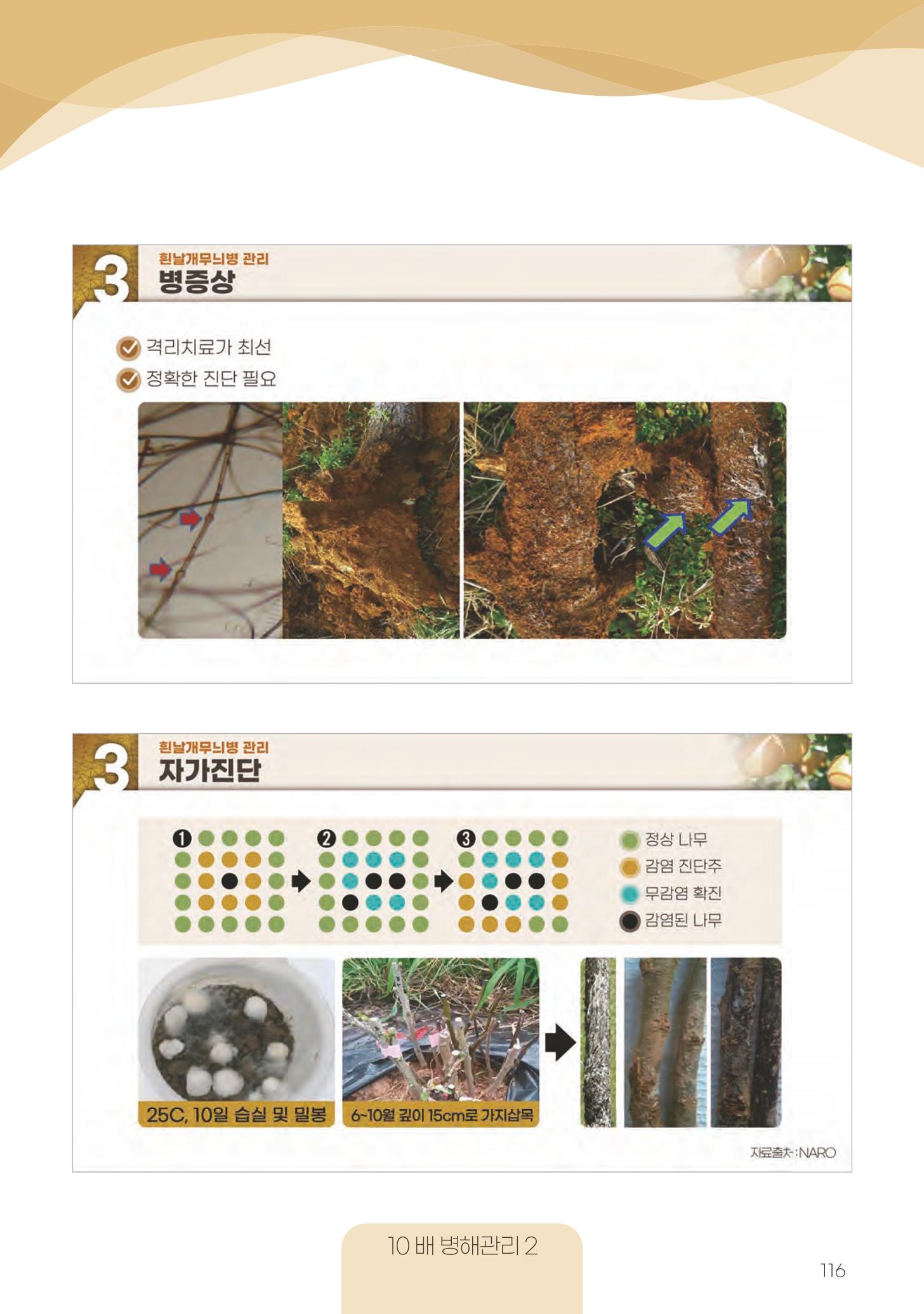 고품질 배 생산 및 수출 교육[2022] 116페이지