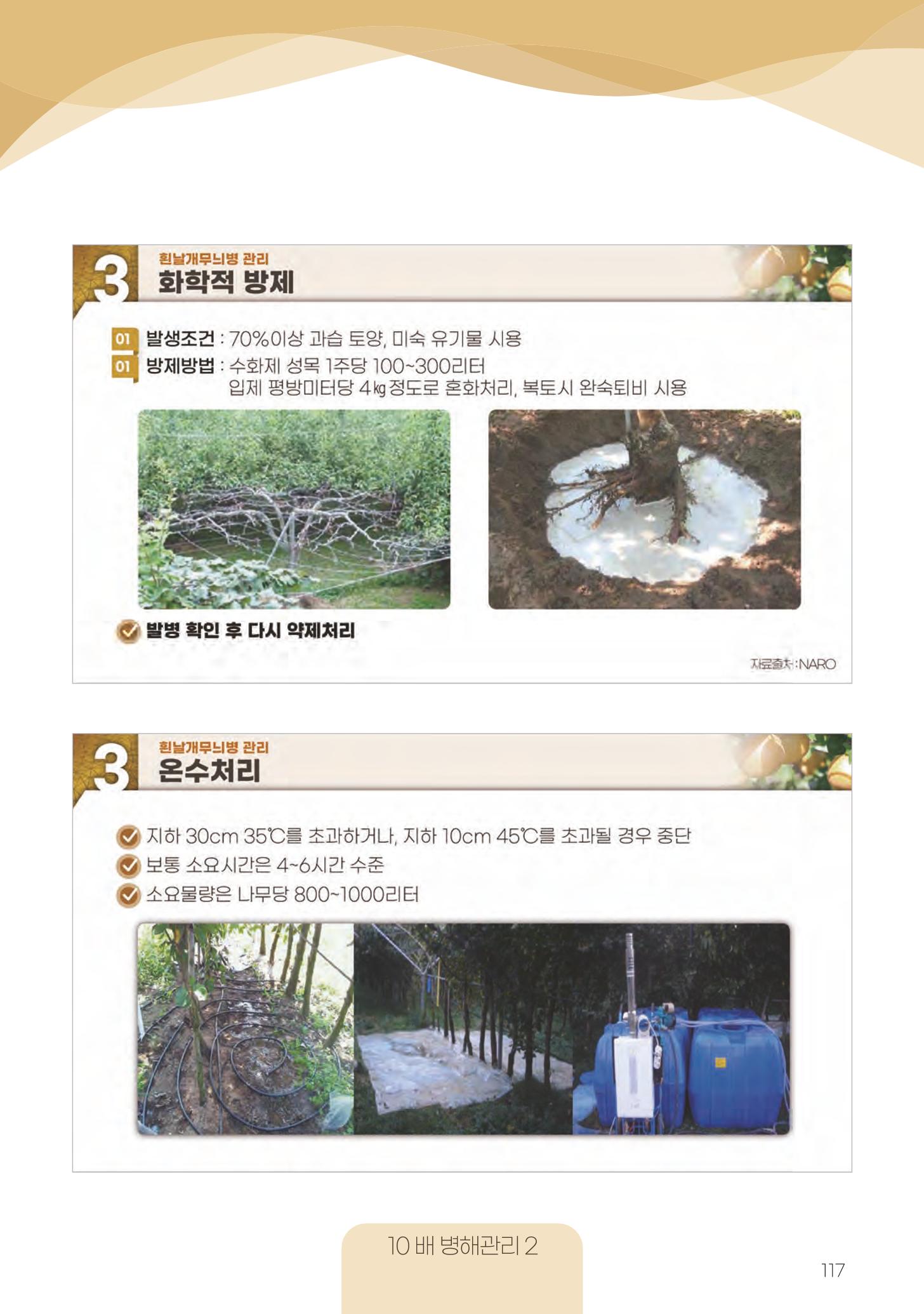 고품질 배 생산 및 수출 교육[2022] 117페이지
