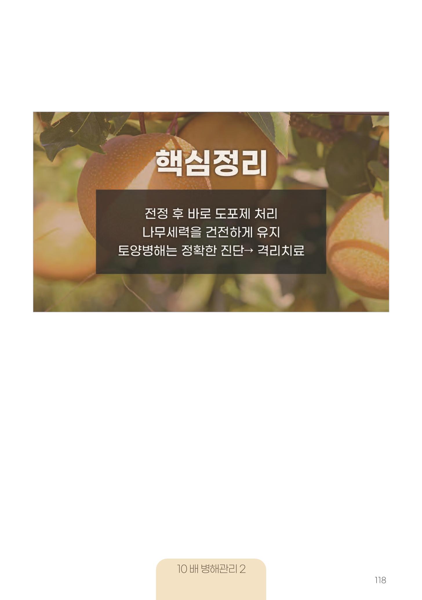 고품질 배 생산 및 수출 교육[2022] 118페이지