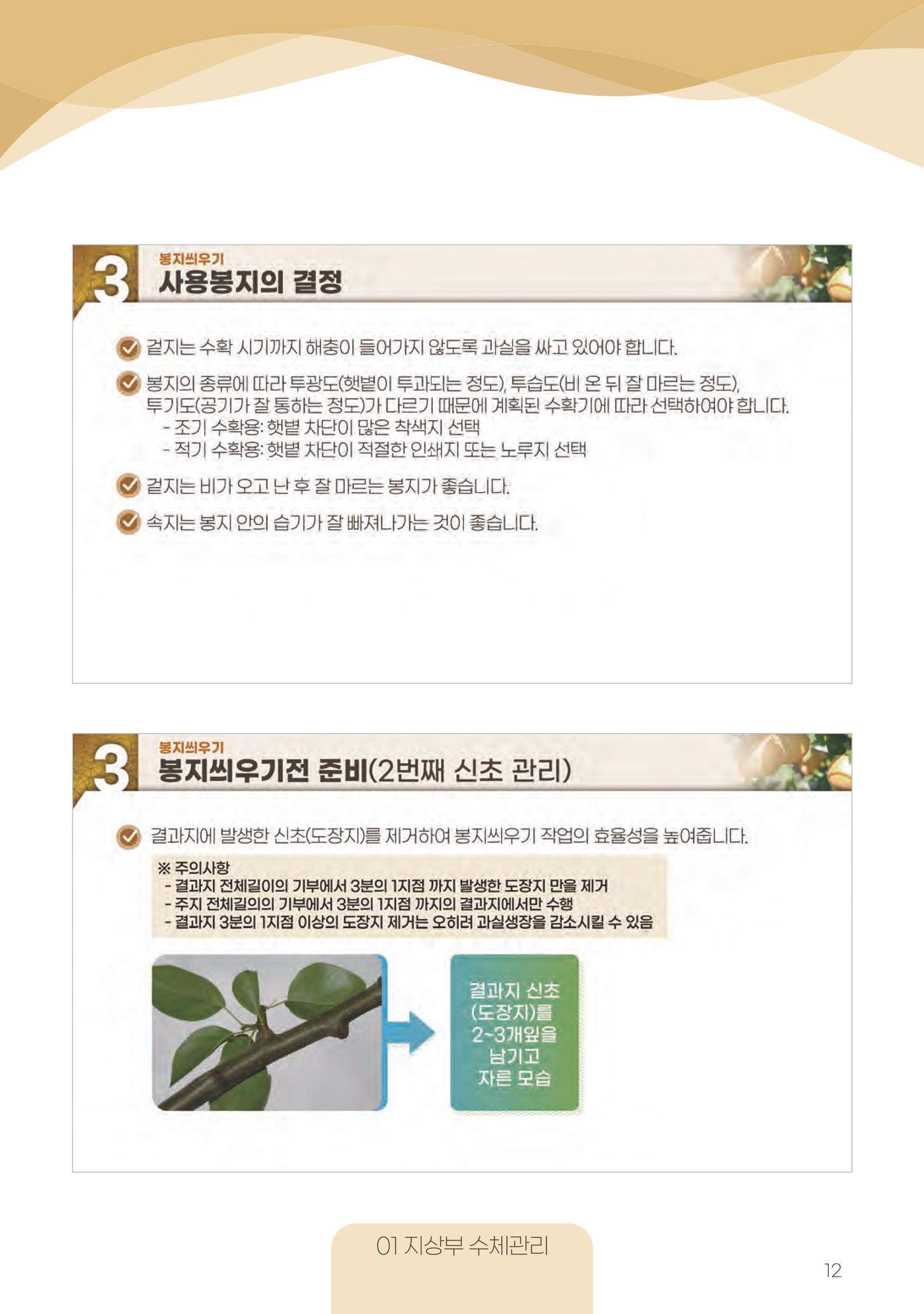 고품질 배 생산 및 수출 교육[2022] 12페이지