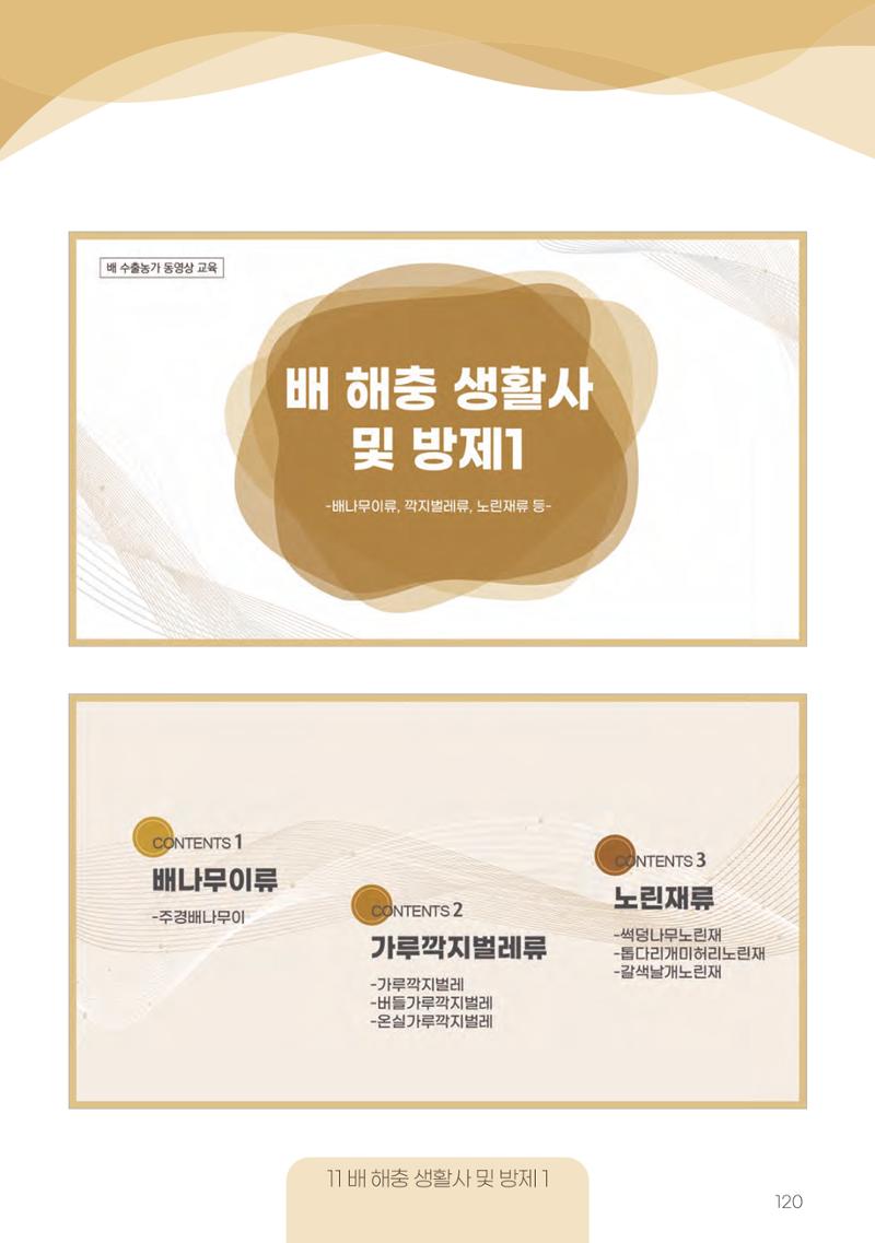 고품질 배 생산 및 수출 교육[2022] 120페이지