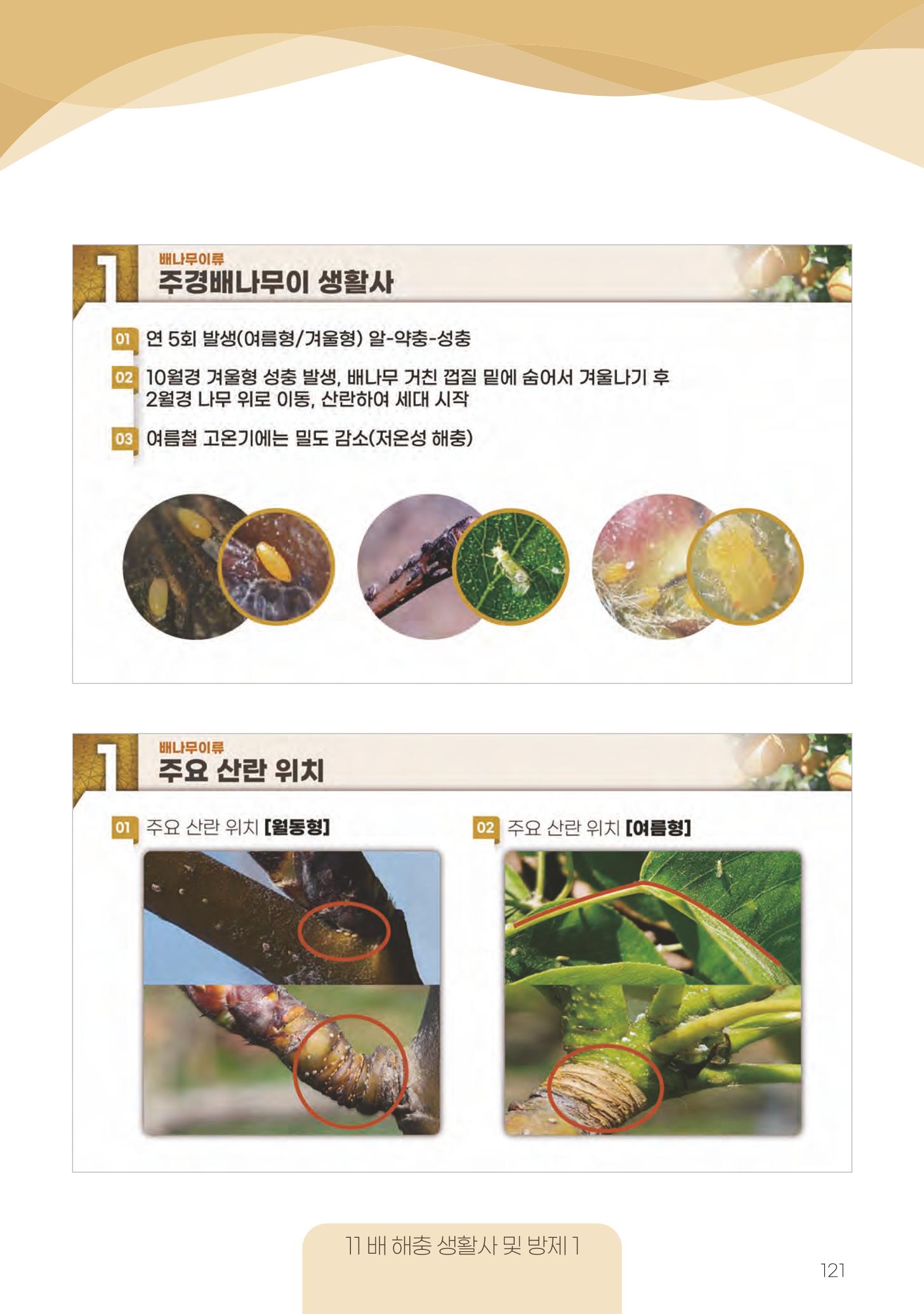 고품질 배 생산 및 수출 교육[2022] 121페이지