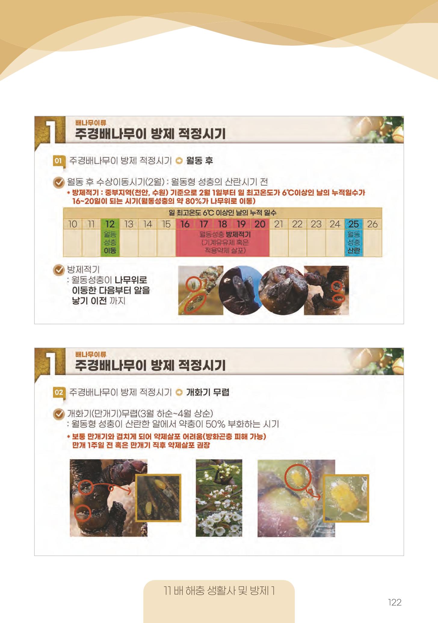 고품질 배 생산 및 수출 교육[2022] 122페이지