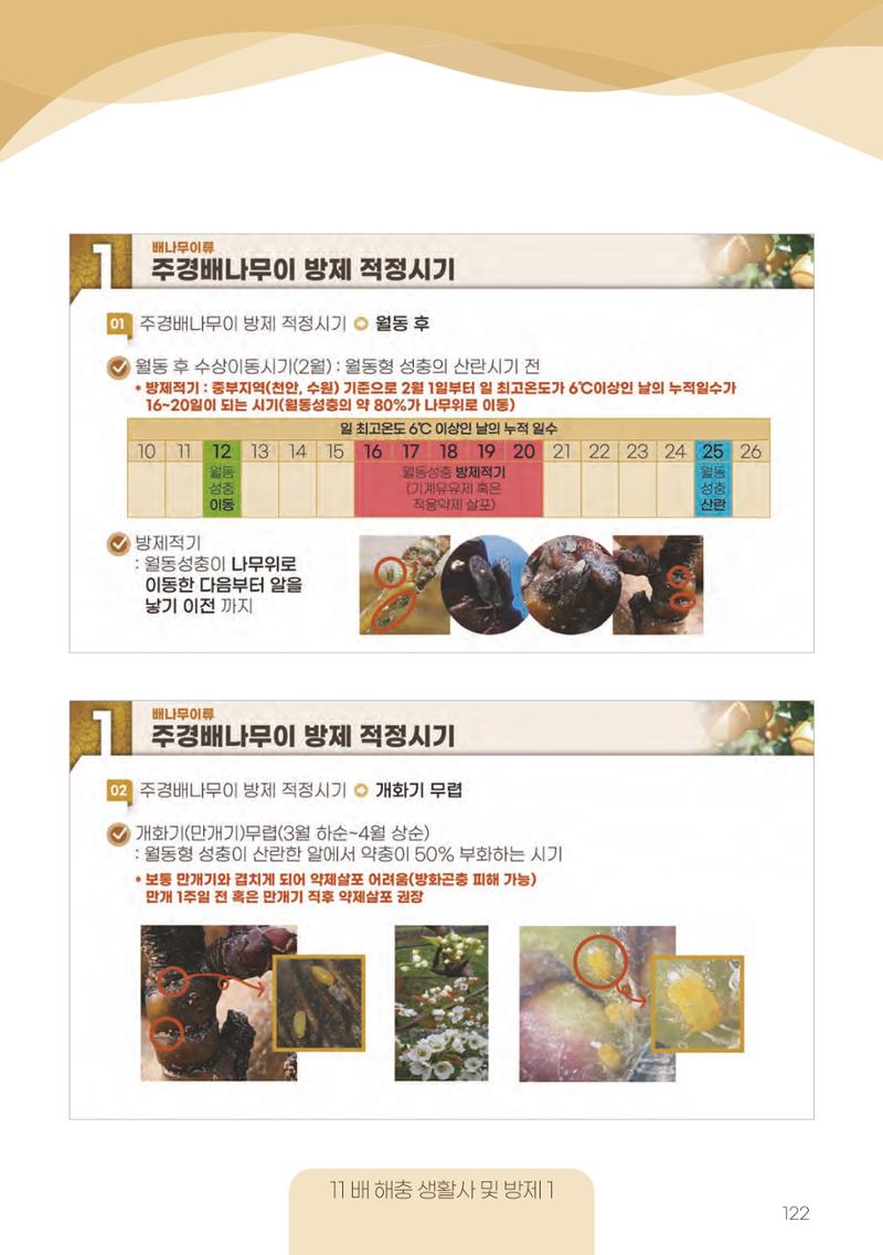 고품질 배 생산 및 수출 교육[2022] 122페이지