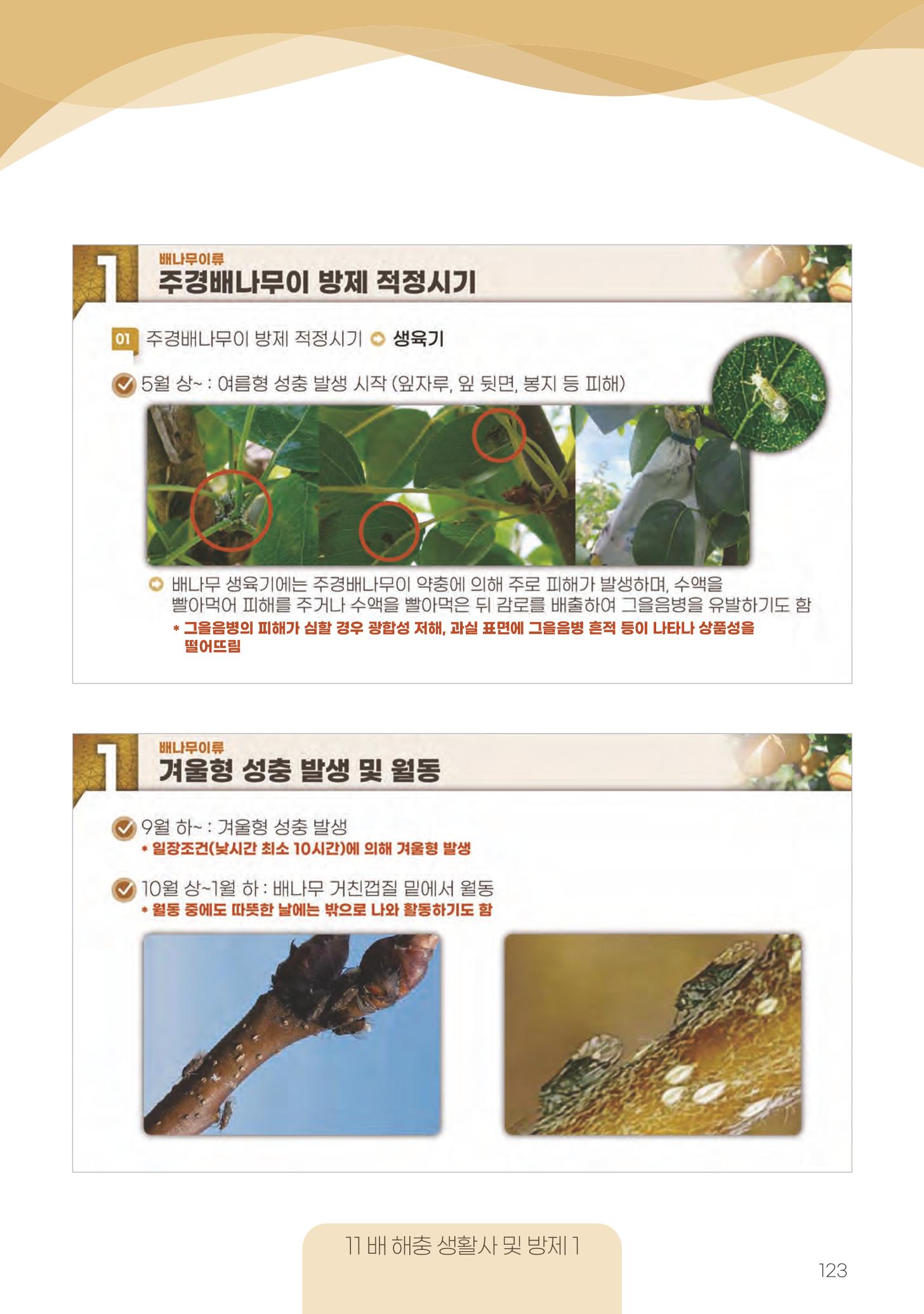 고품질 배 생산 및 수출 교육[2022] 123페이지
