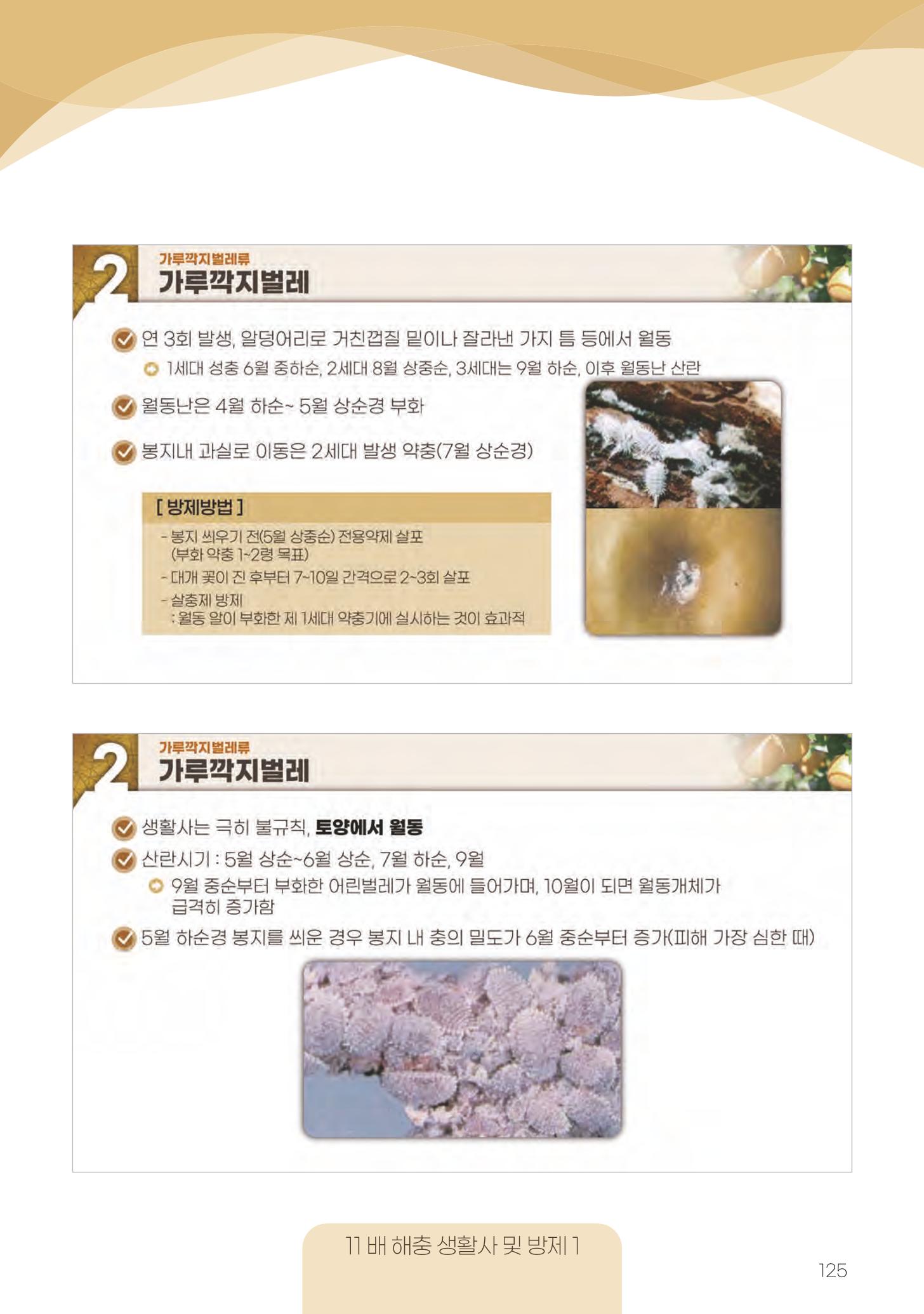 고품질 배 생산 및 수출 교육[2022] 125페이지