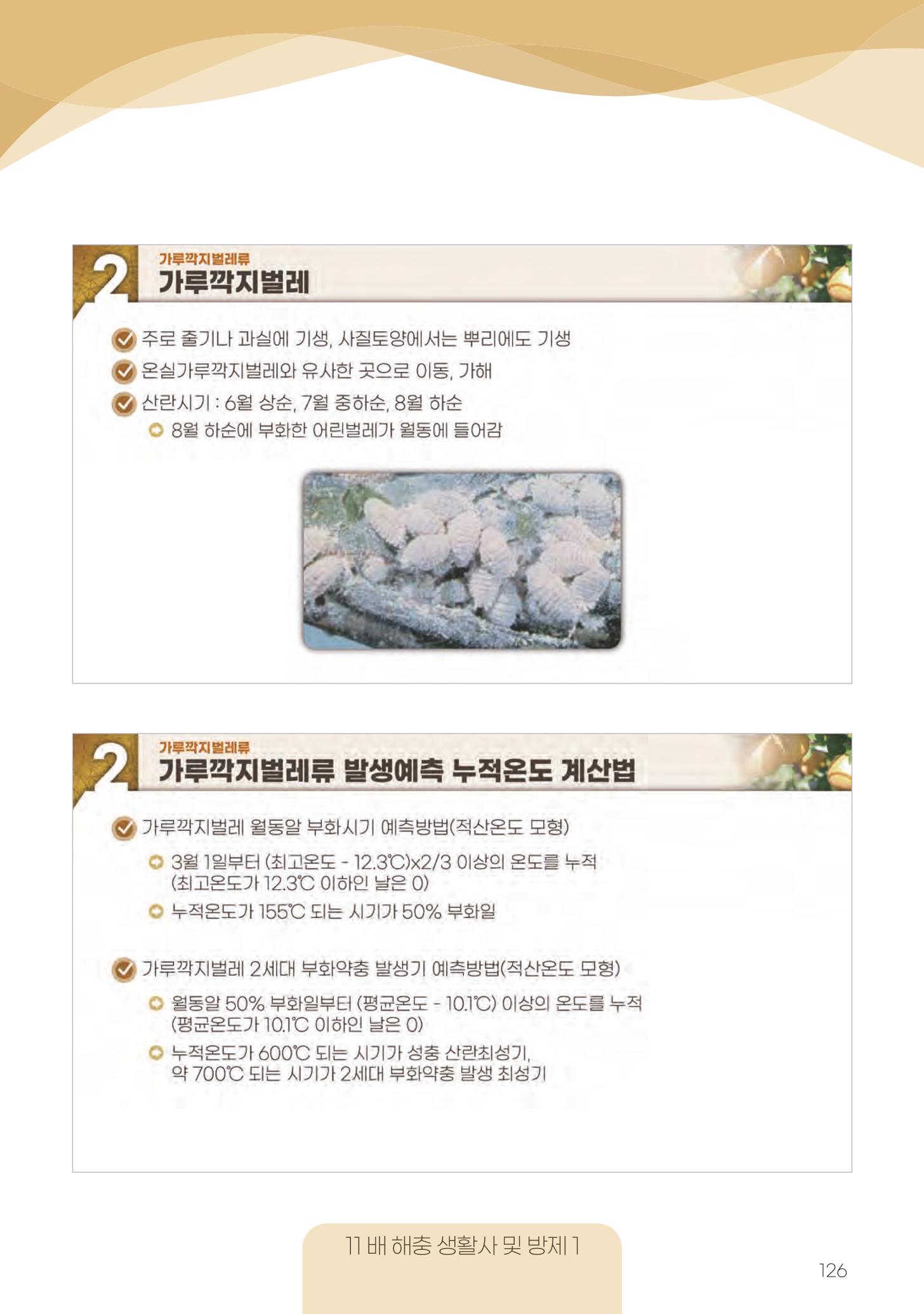 고품질 배 생산 및 수출 교육[2022] 126페이지