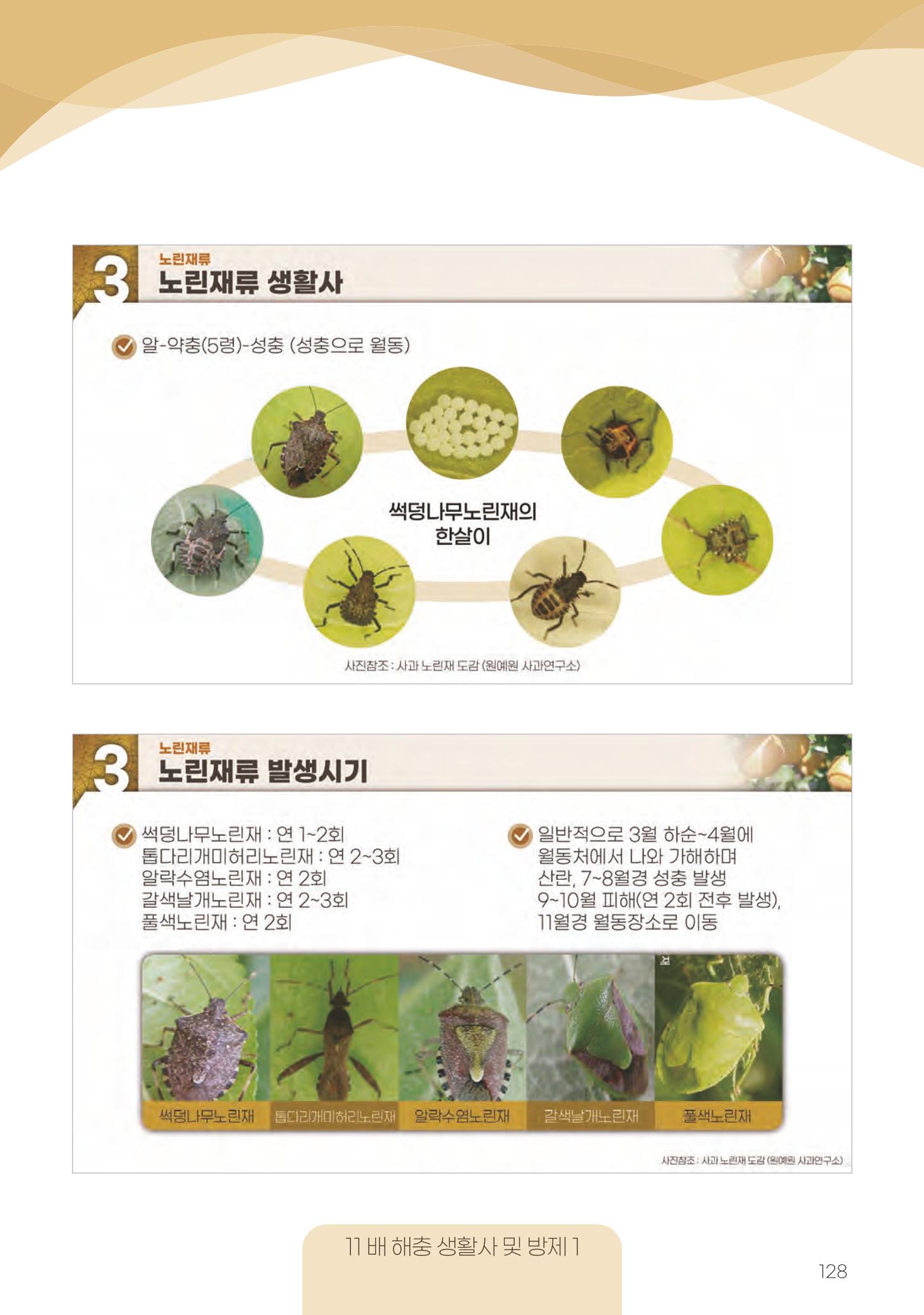 고품질 배 생산 및 수출 교육[2022] 128페이지