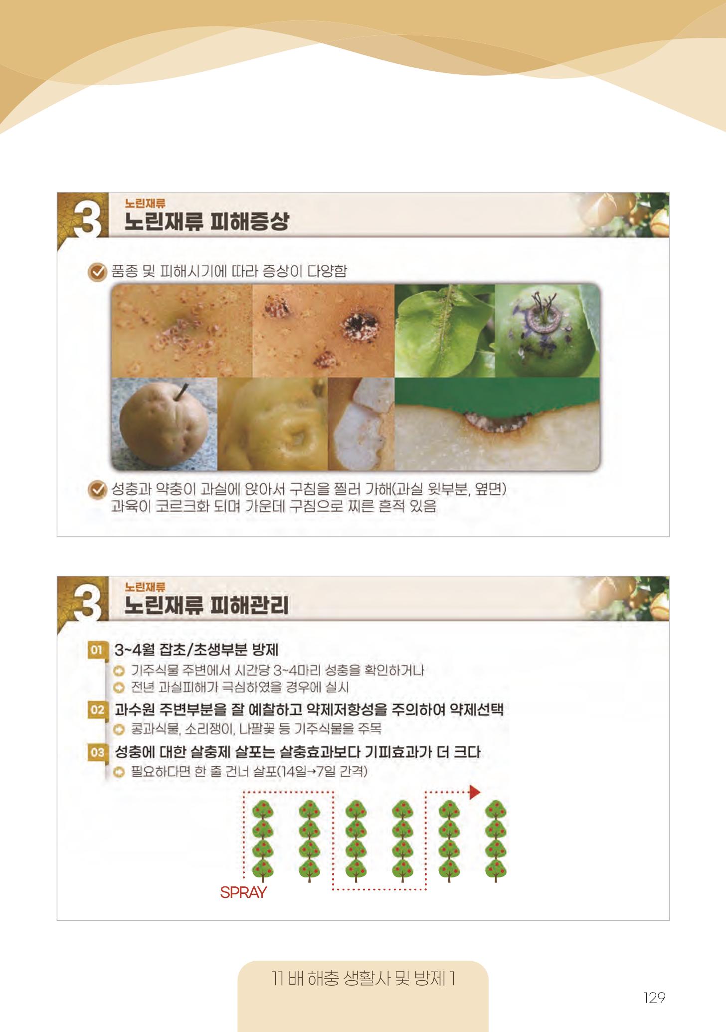 고품질 배 생산 및 수출 교육[2022] 129페이지