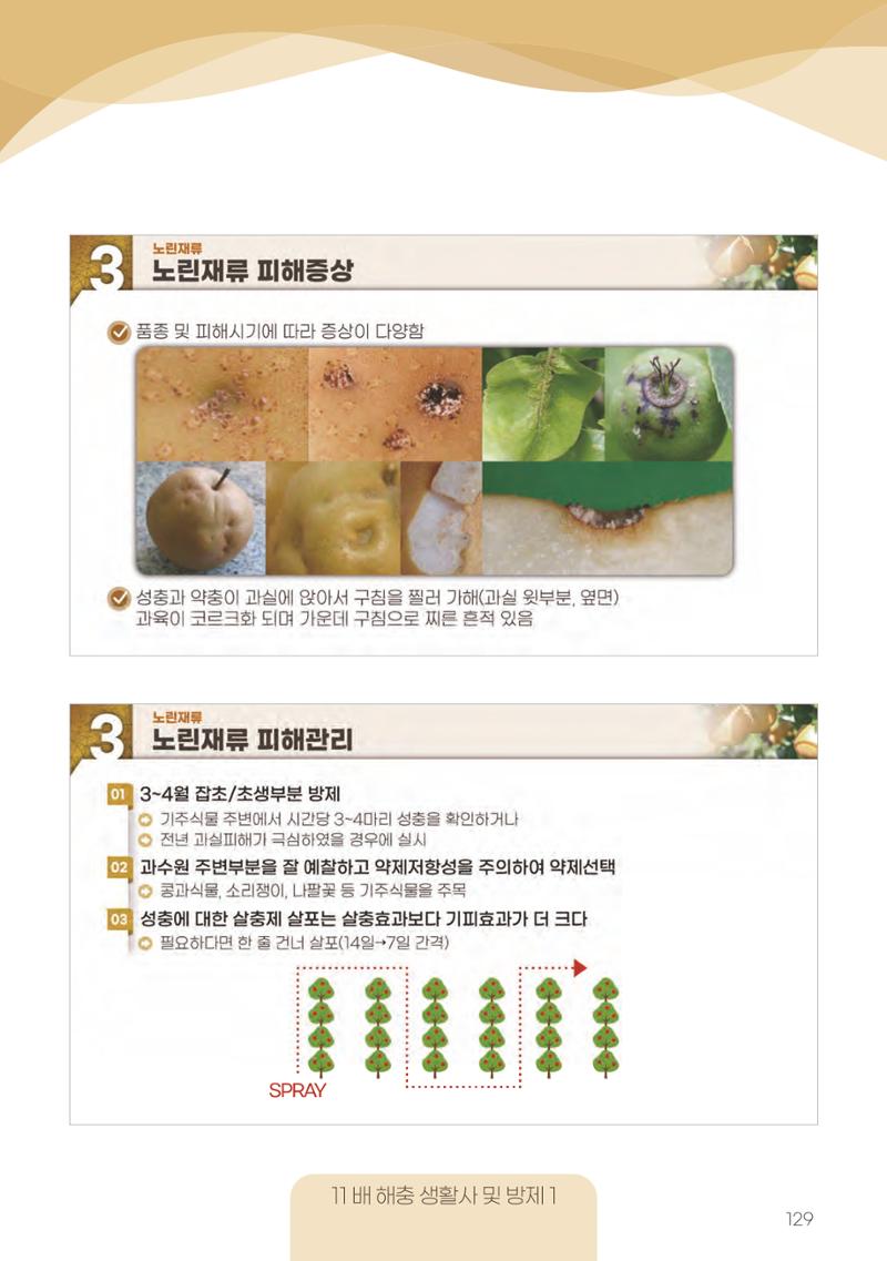고품질 배 생산 및 수출 교육[2022] 129페이지