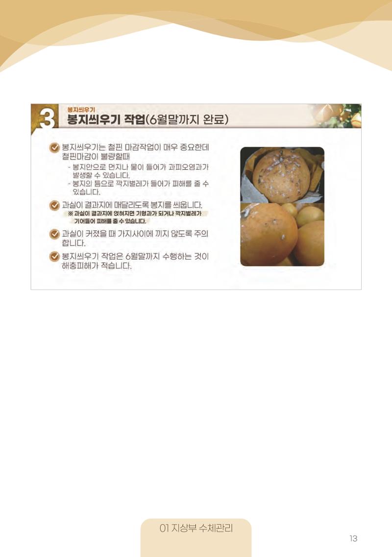 고품질 배 생산 및 수출 교육[2022] 13페이지