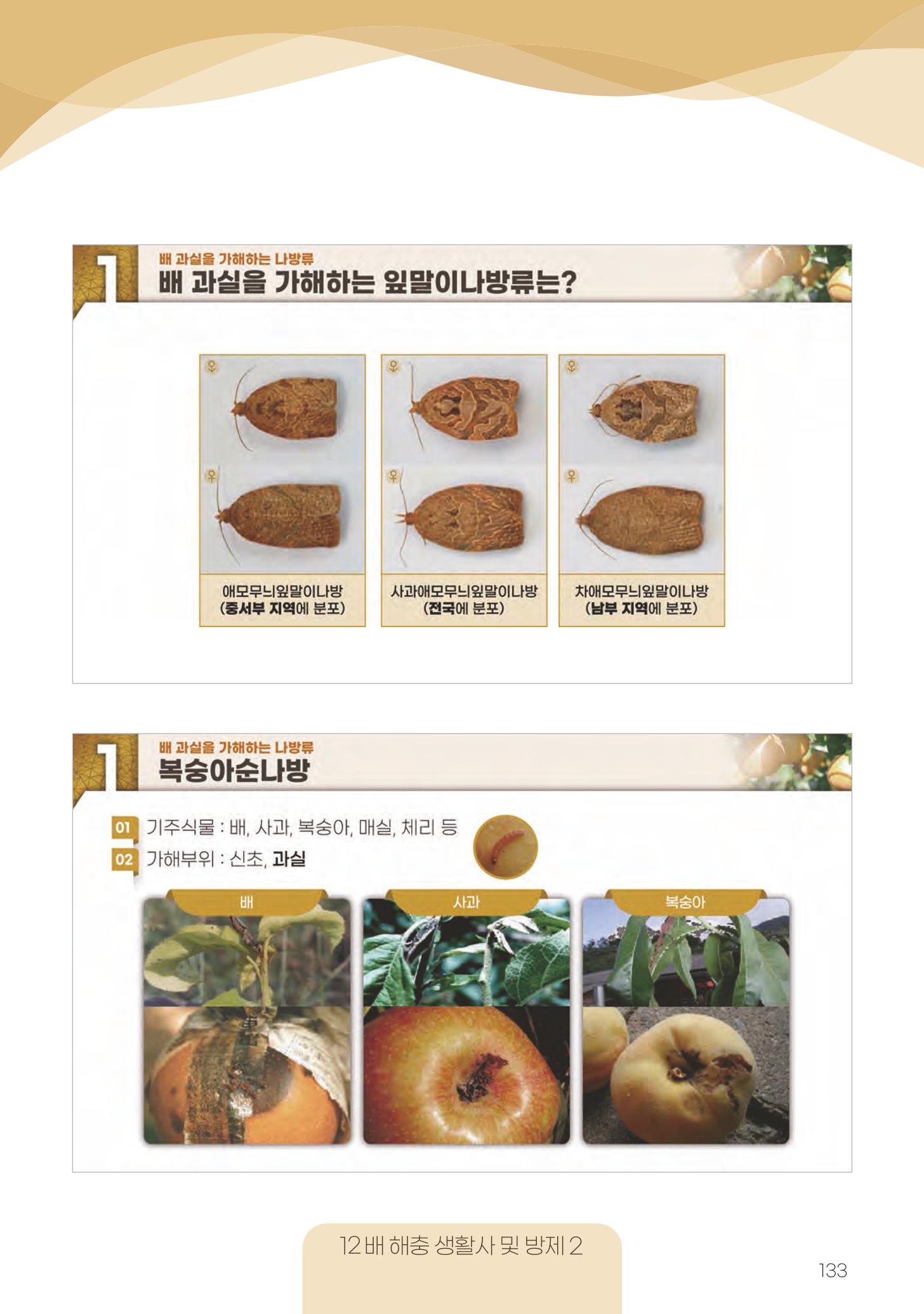 고품질 배 생산 및 수출 교육[2022] 133페이지
